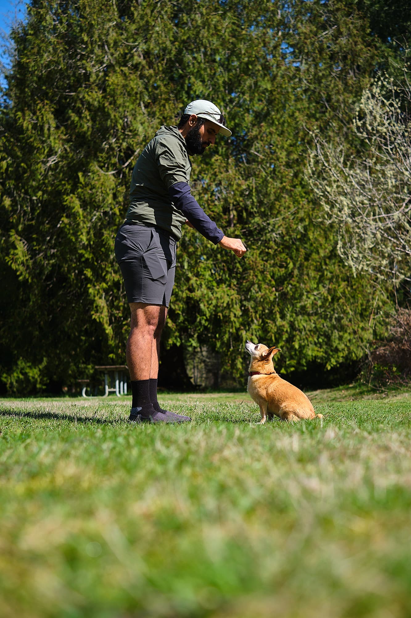 Paco waits for a treat.