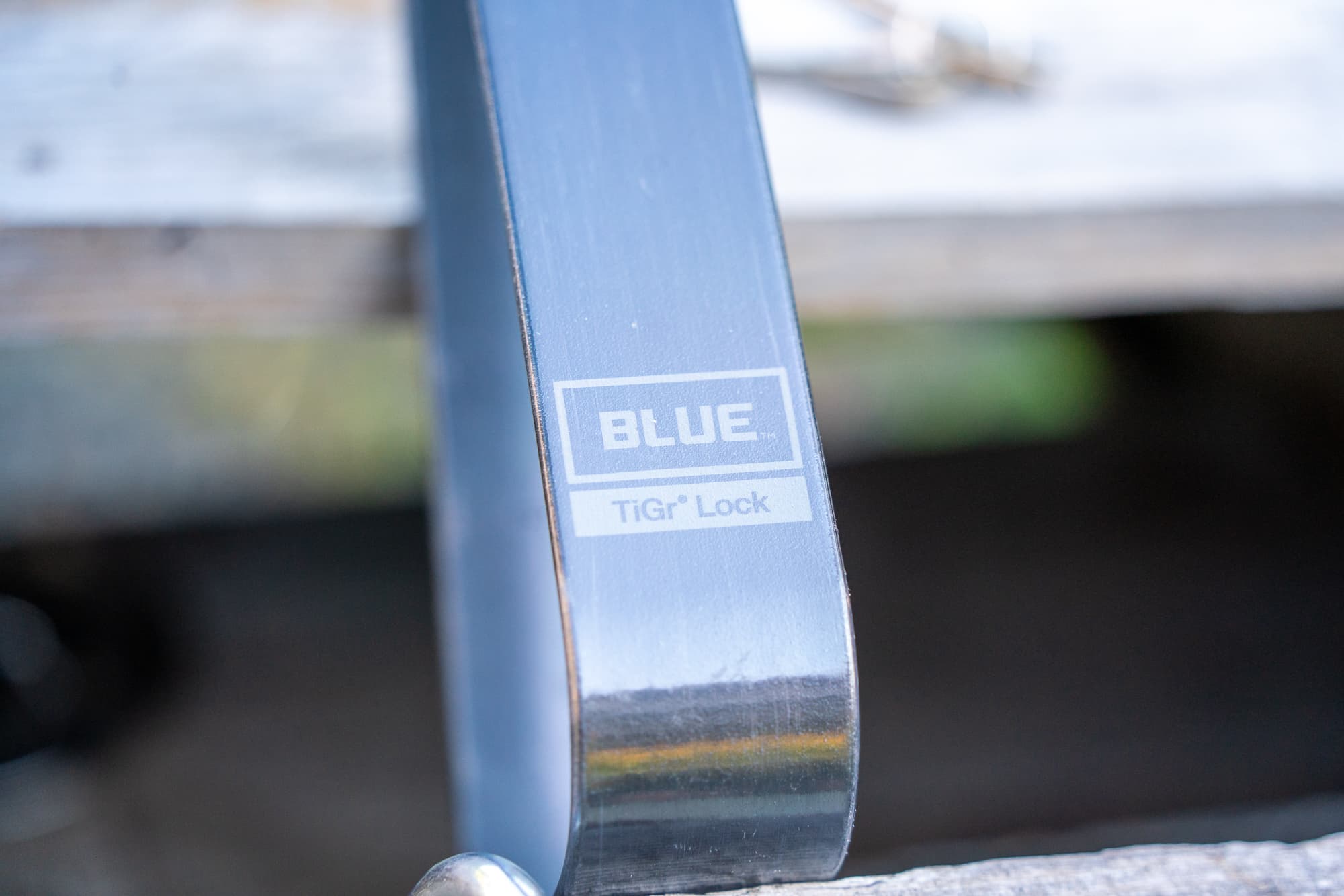 tigr blue logo