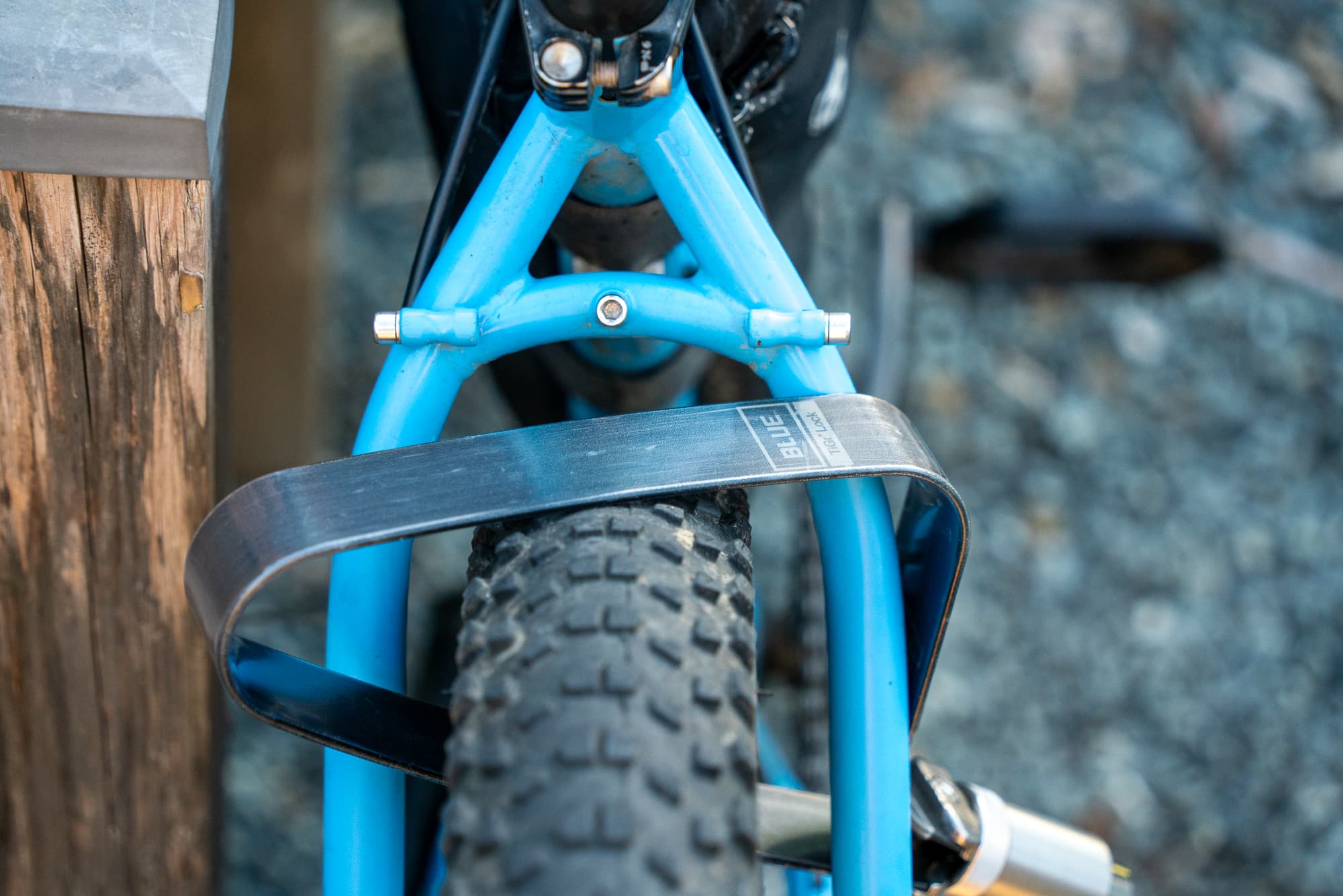 tigr blue on bike