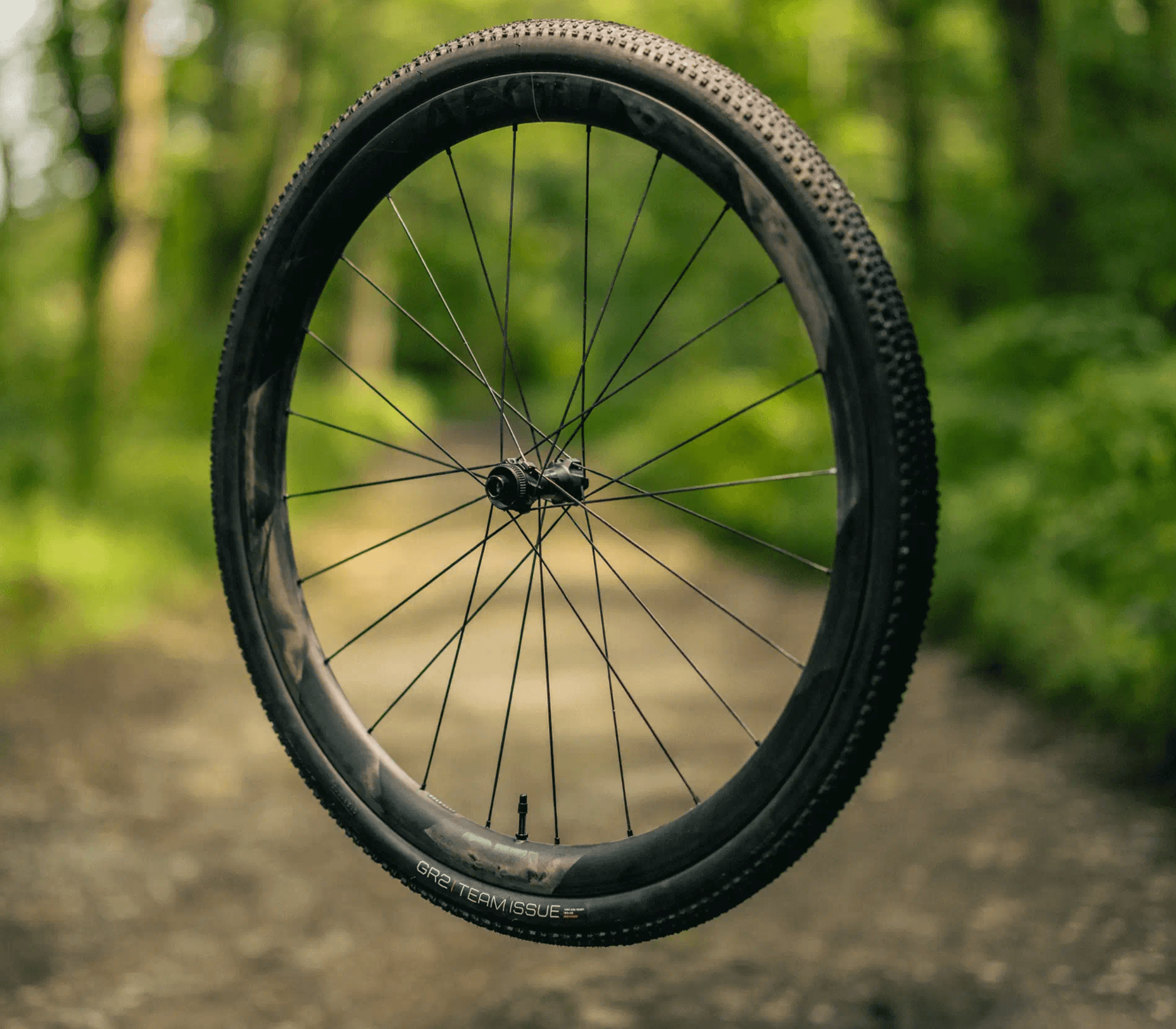 Bontrager 1