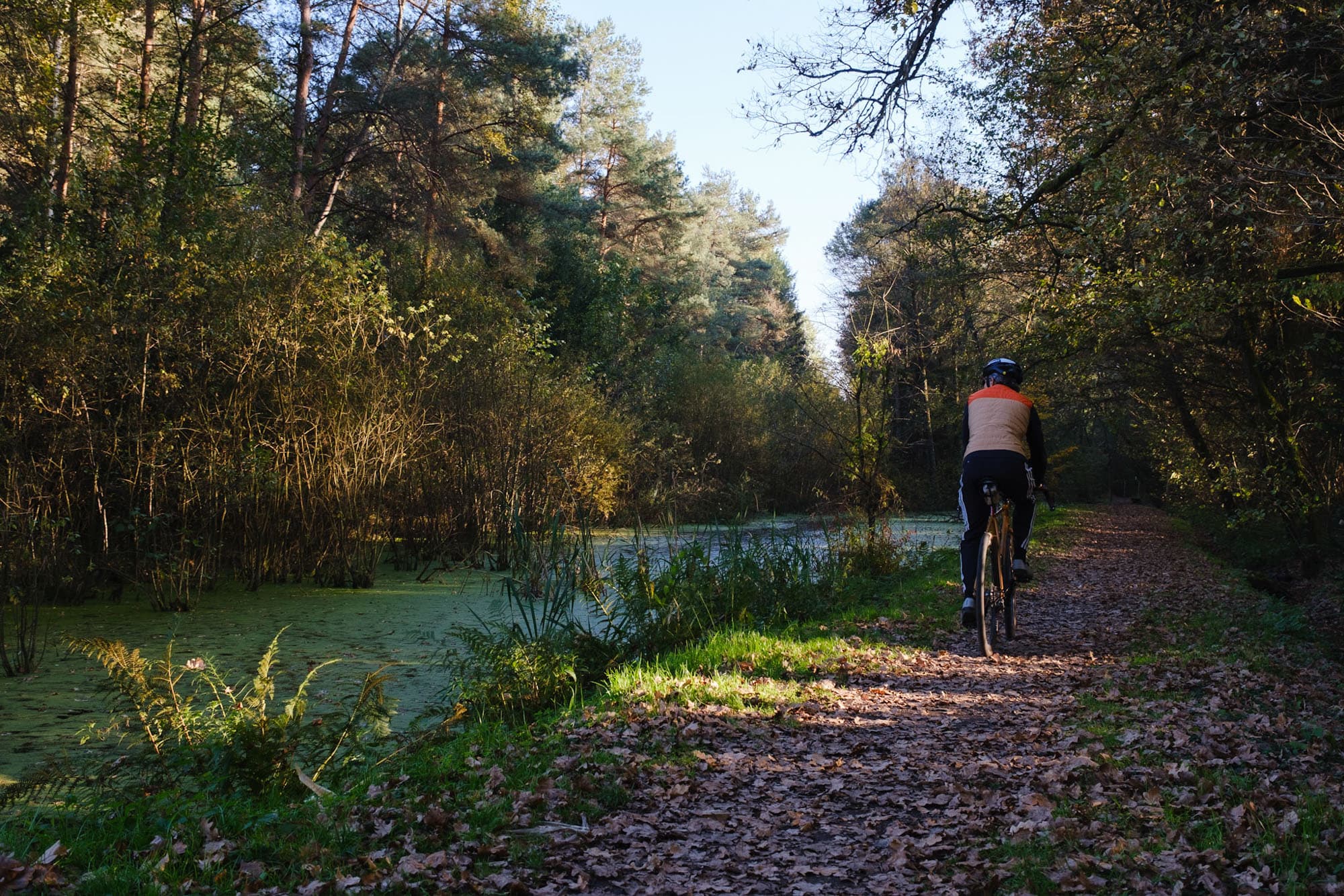 Gerald riding in the forets in Austria.