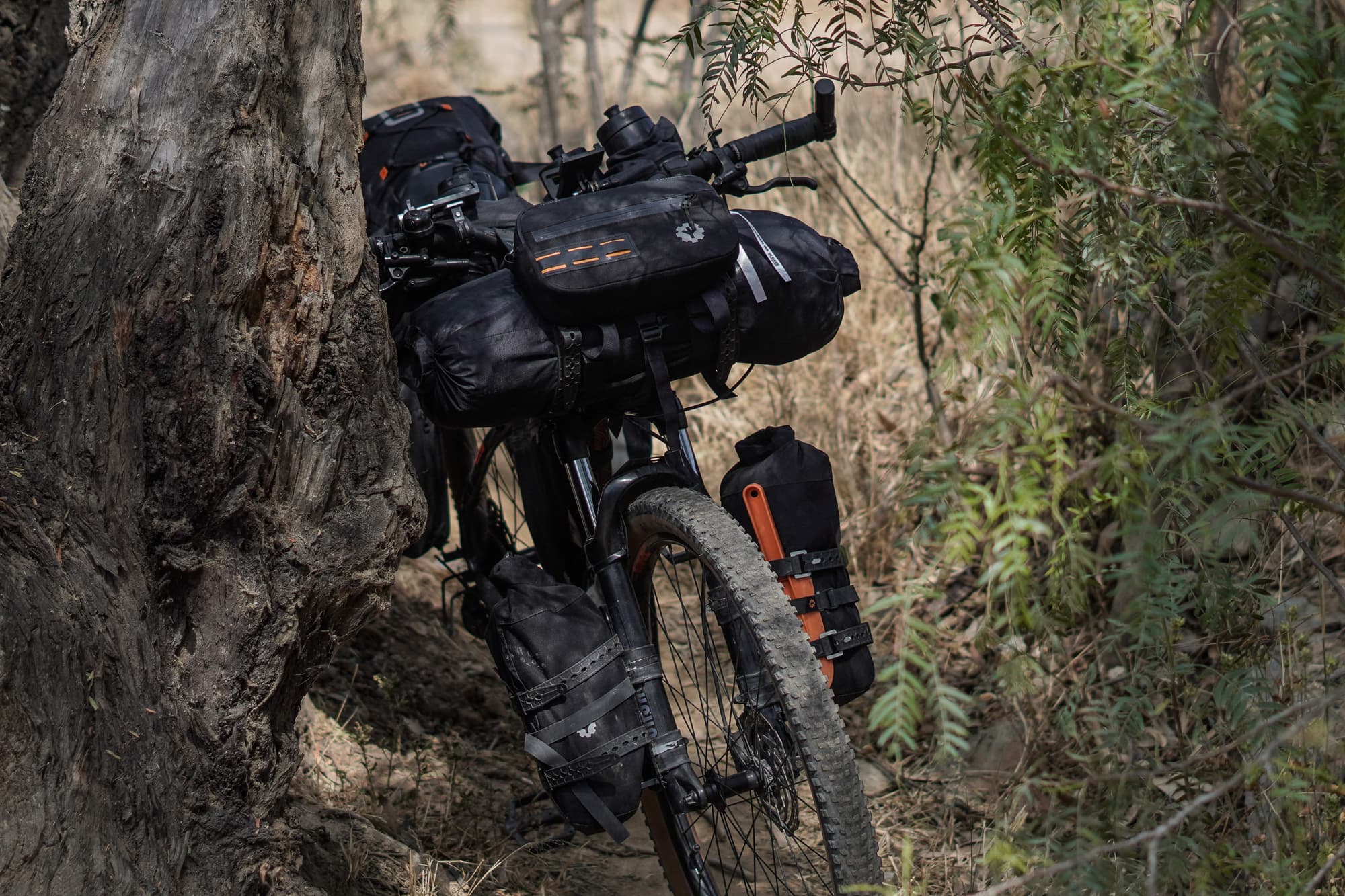 against a tree