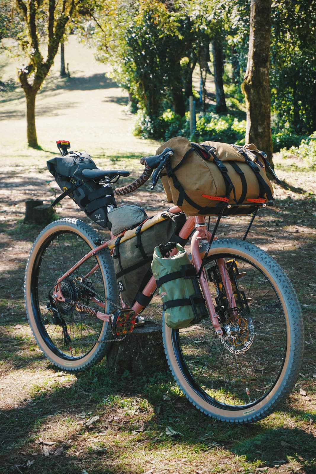 immus setup