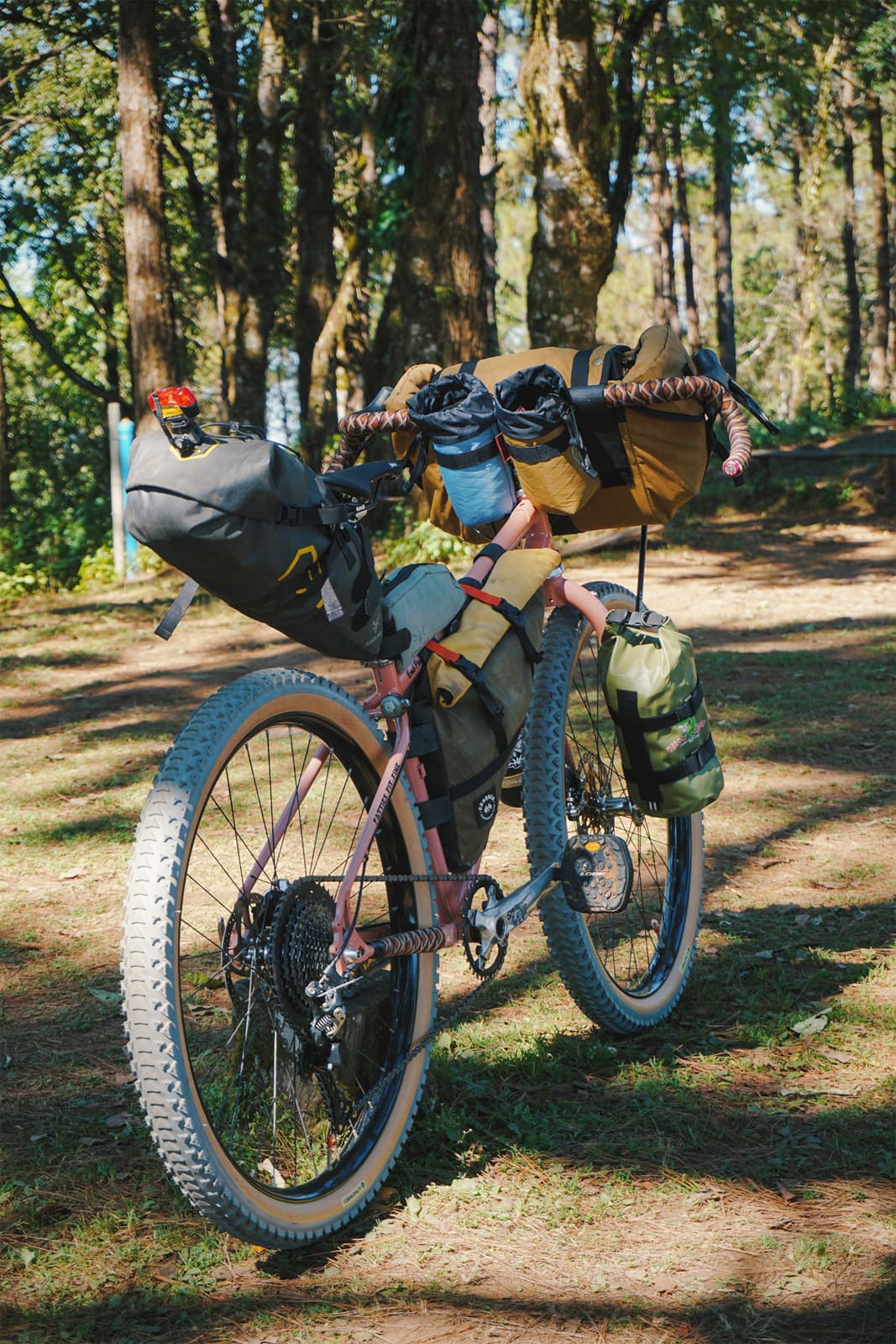 Immus setup rear view