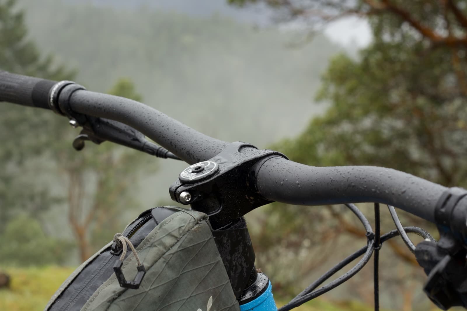bars in the mist