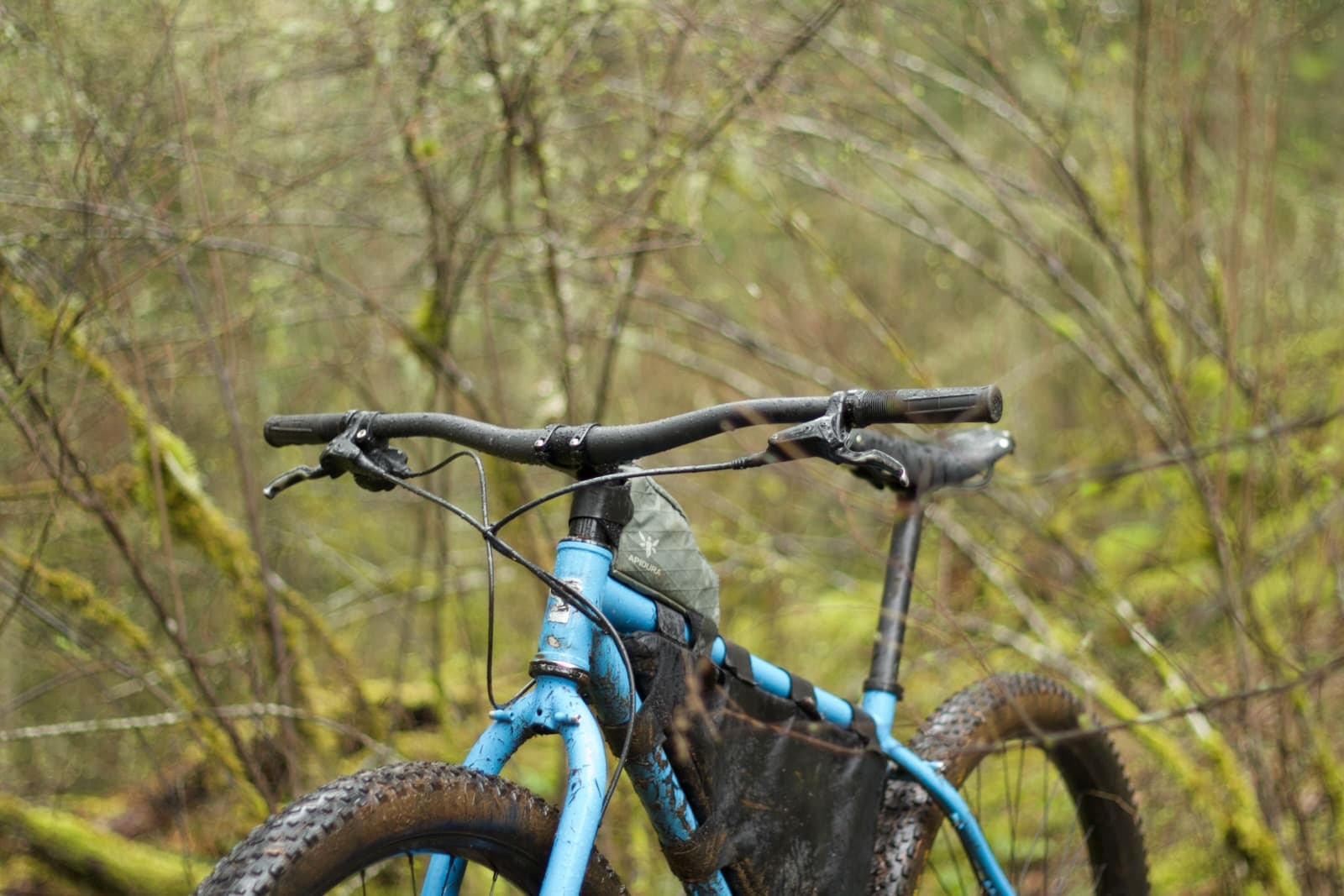 bike in forest