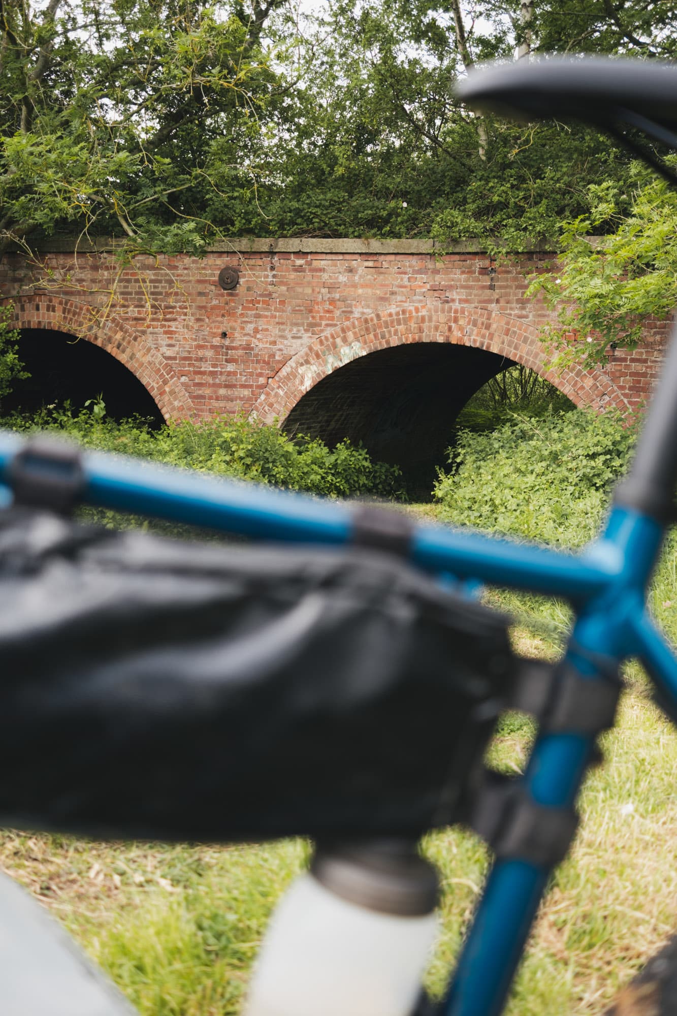 A view from Lews trip.