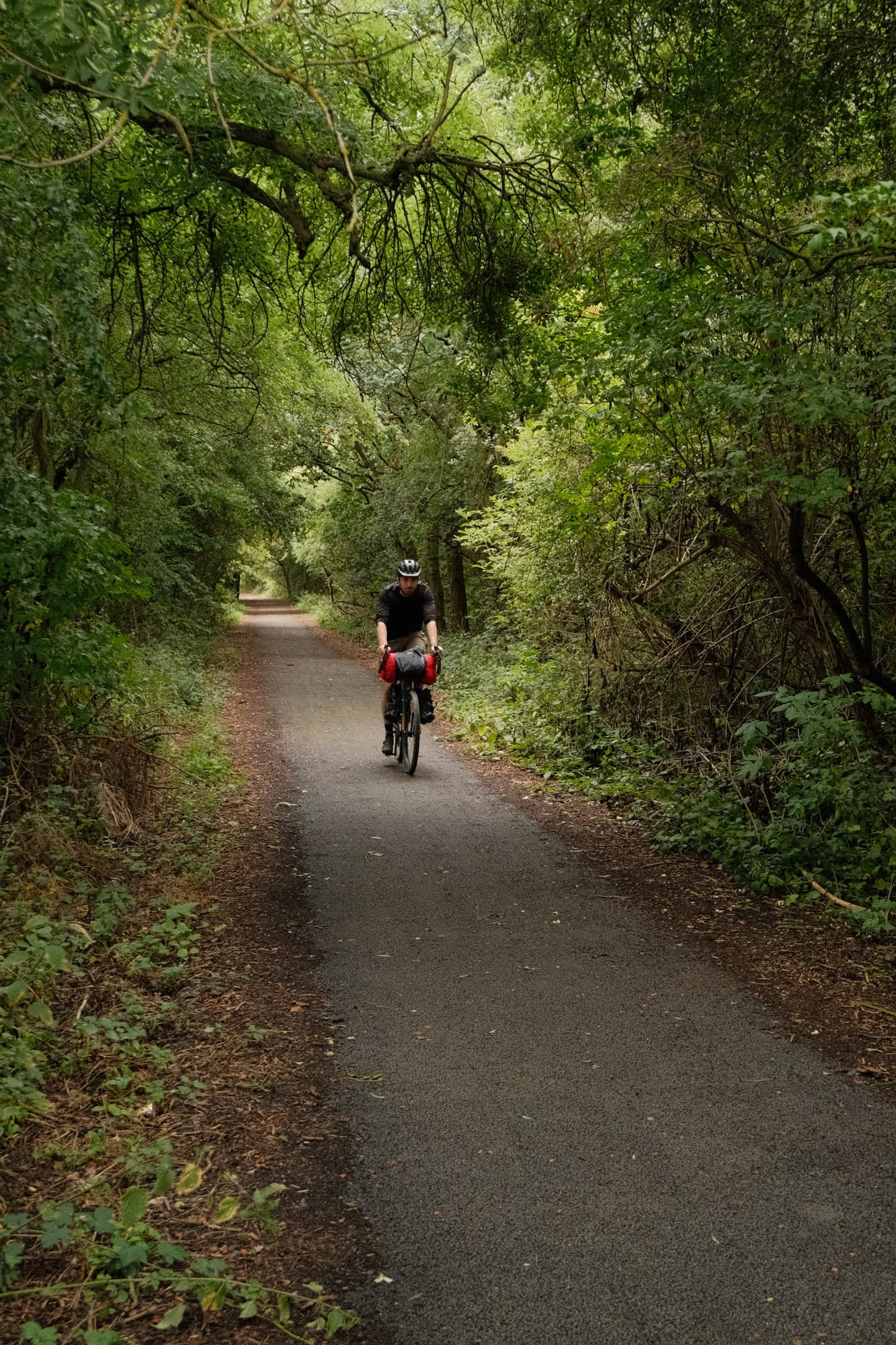 Lew on the trail.
