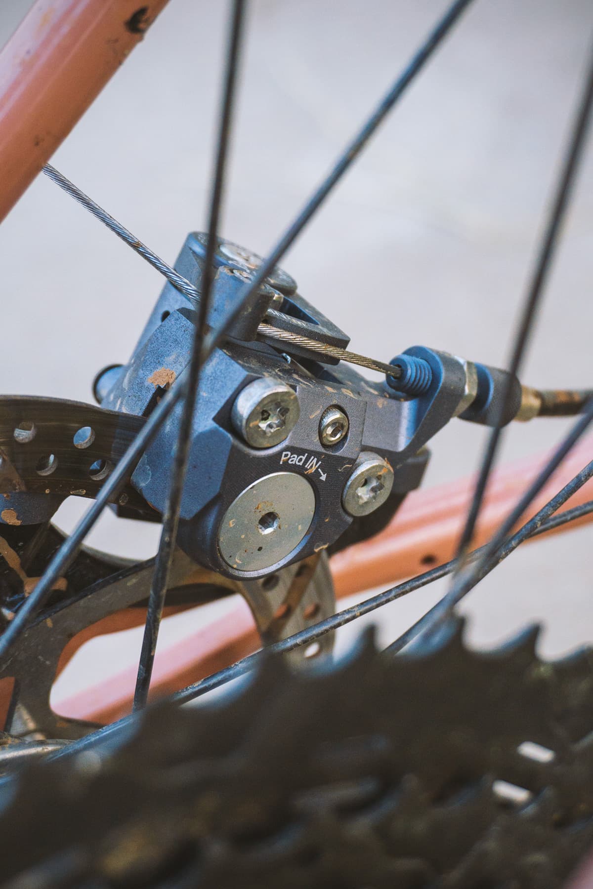 caliper rear