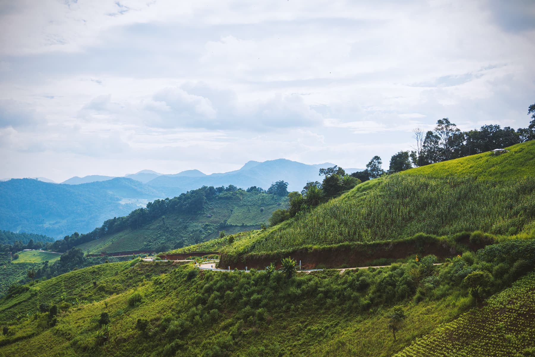 northern thailand