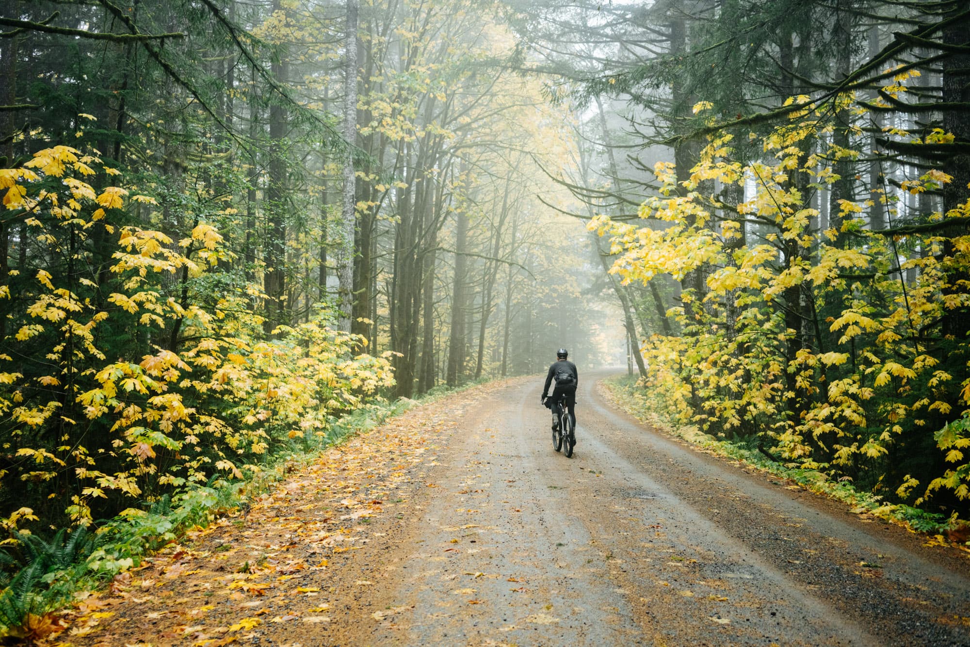 Autumn rides on Vancouvery Island.