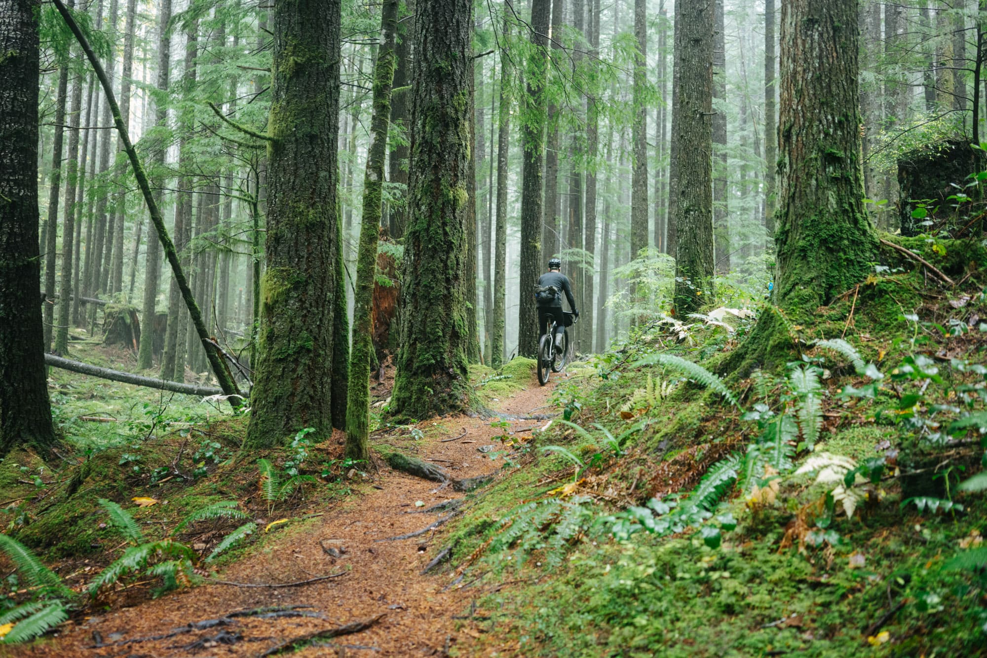 The Hunt XC Wide hit the trails on Vancouver Island.