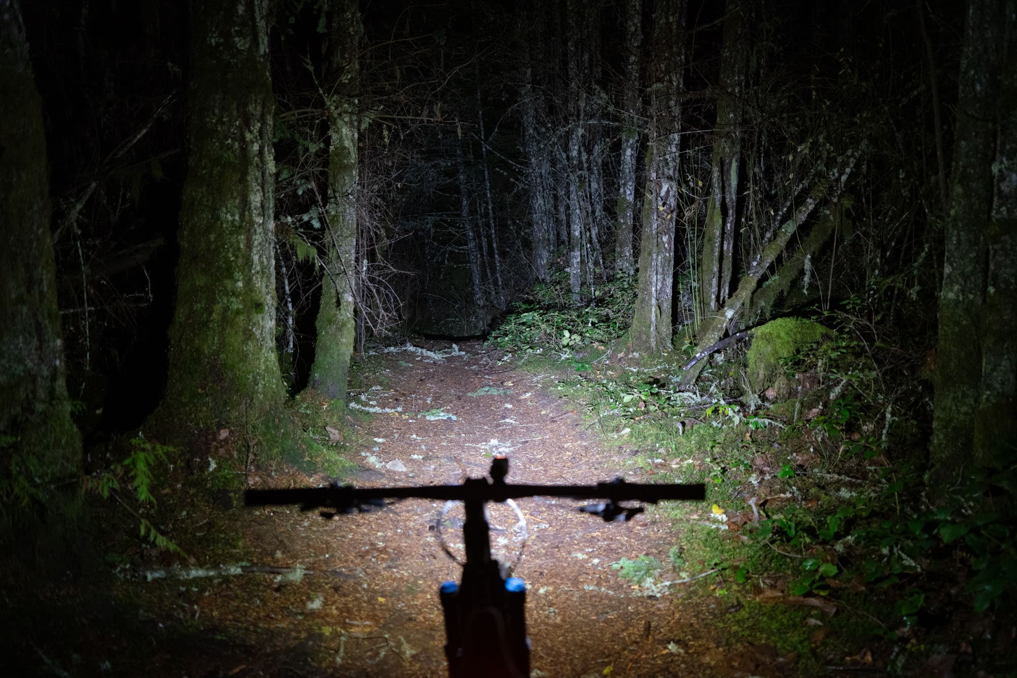 Knog Blinder 1300 light in the forest.