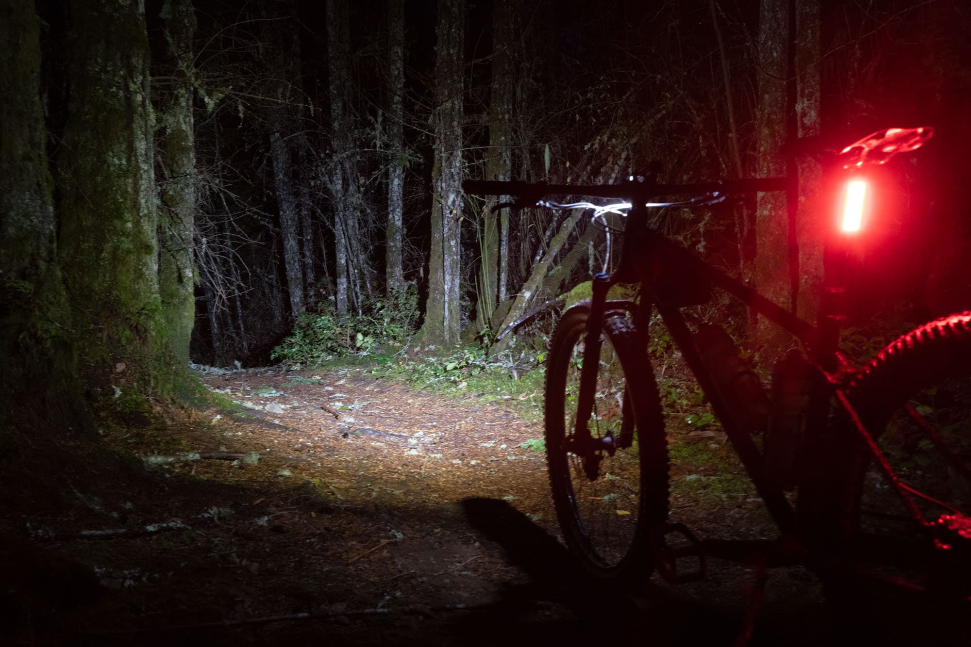 On the trail with the Knog Blinkers.