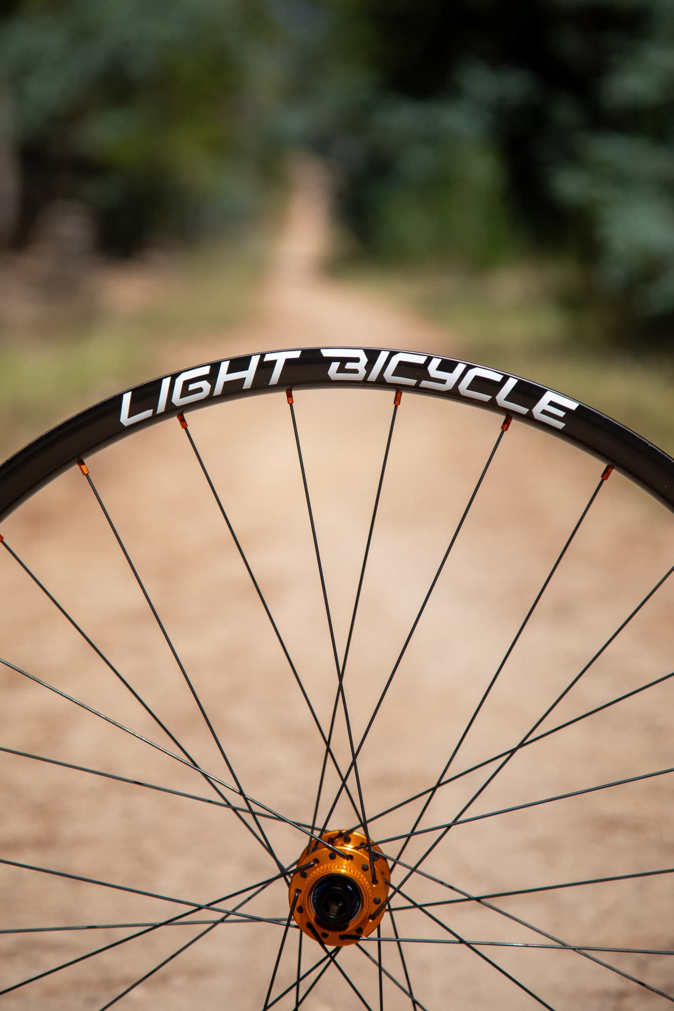 A close up of the Light Bicycle logo.
