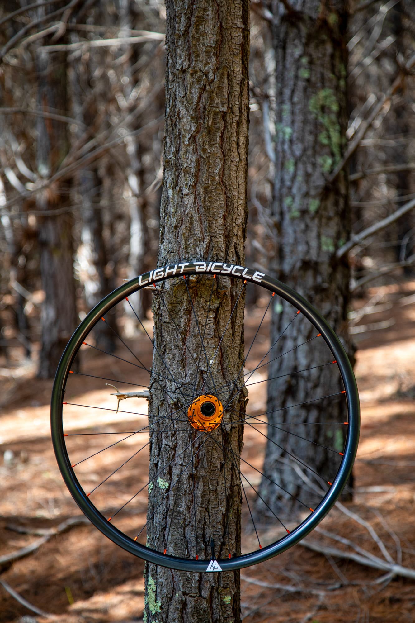Light Bicycle XC725 hangs on a tree.