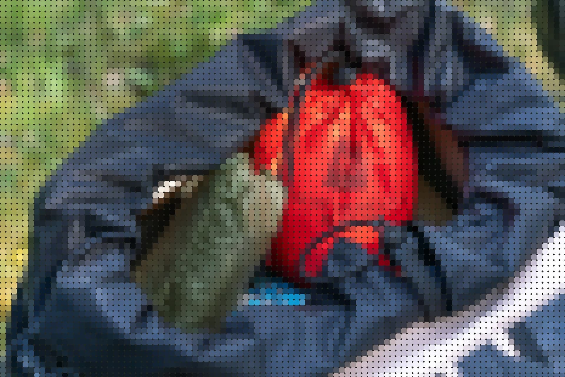 22 Ultralight Gear Makers for Bikepacking