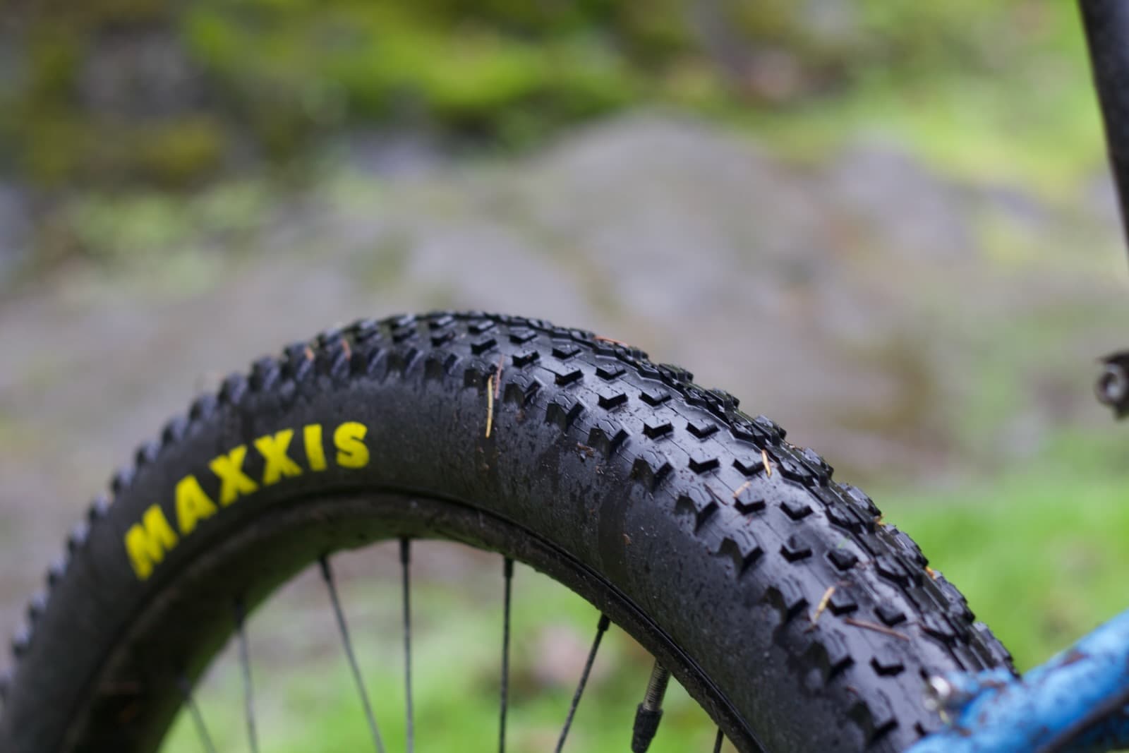 Maxxis Ikons Tread Close Up