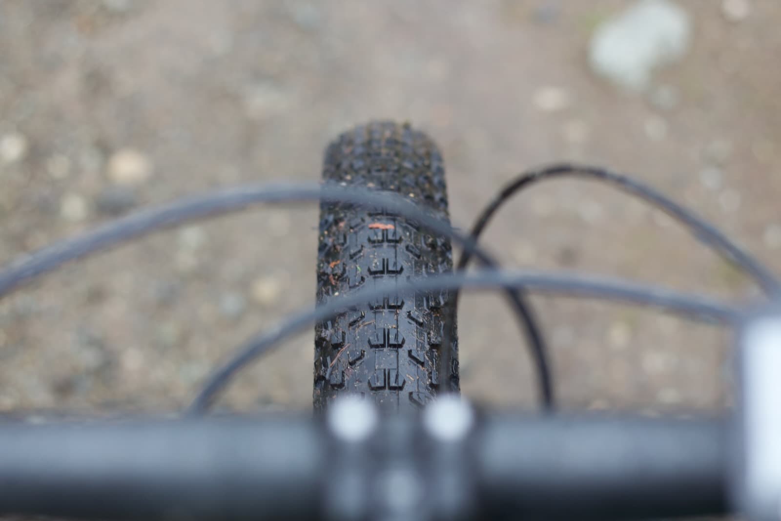 Maxxis Ikons From Cockpit