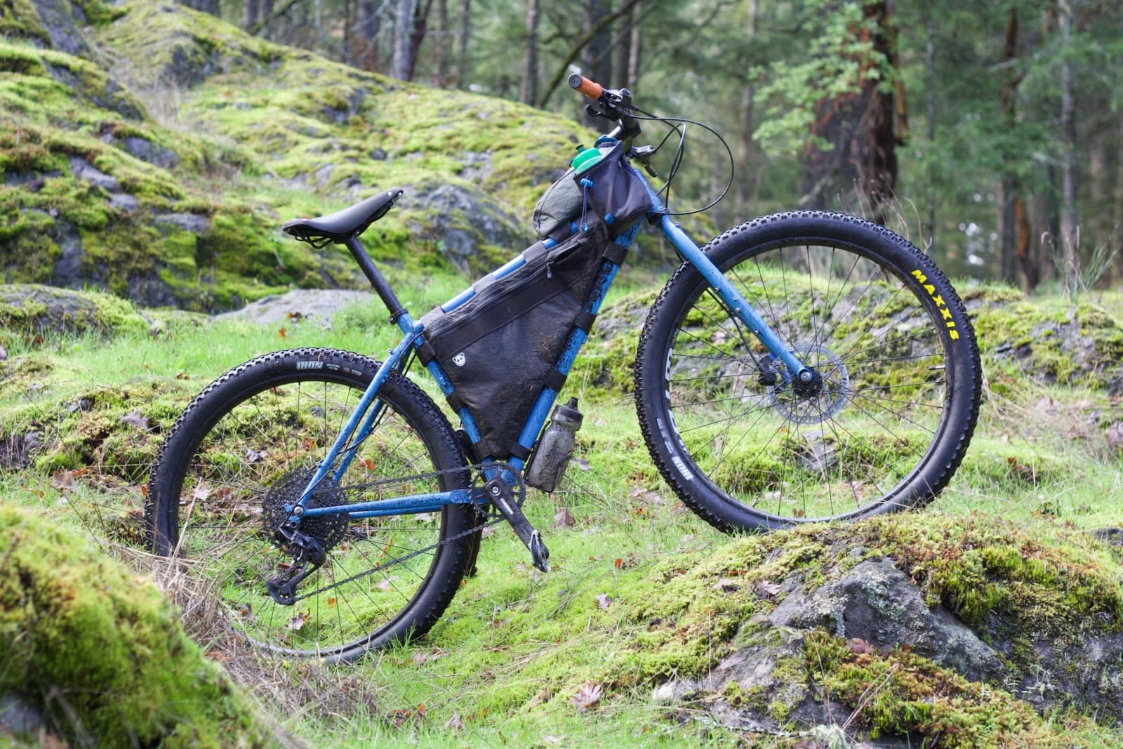 Surly Krampus With Maxxis Ikons Side View