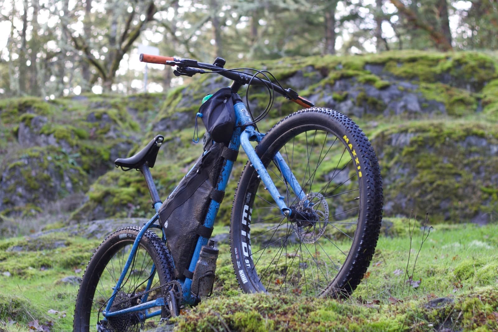 Surly Krampus With Maxxis Ikons Up Close