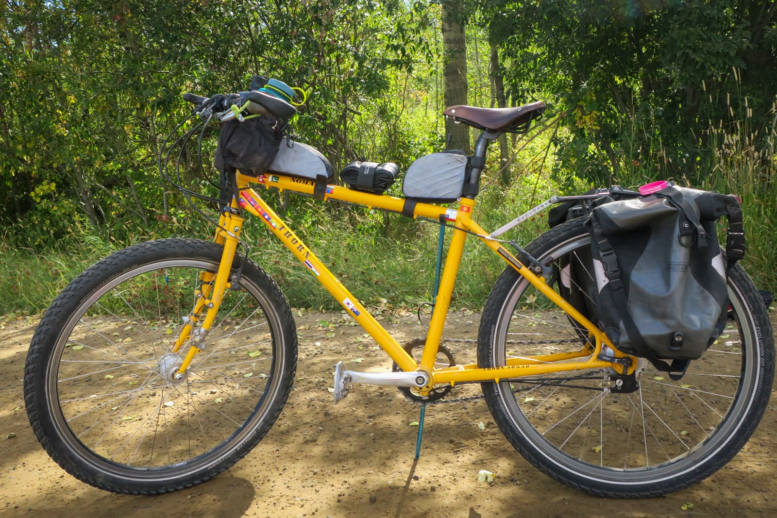 micro piggy on thorn