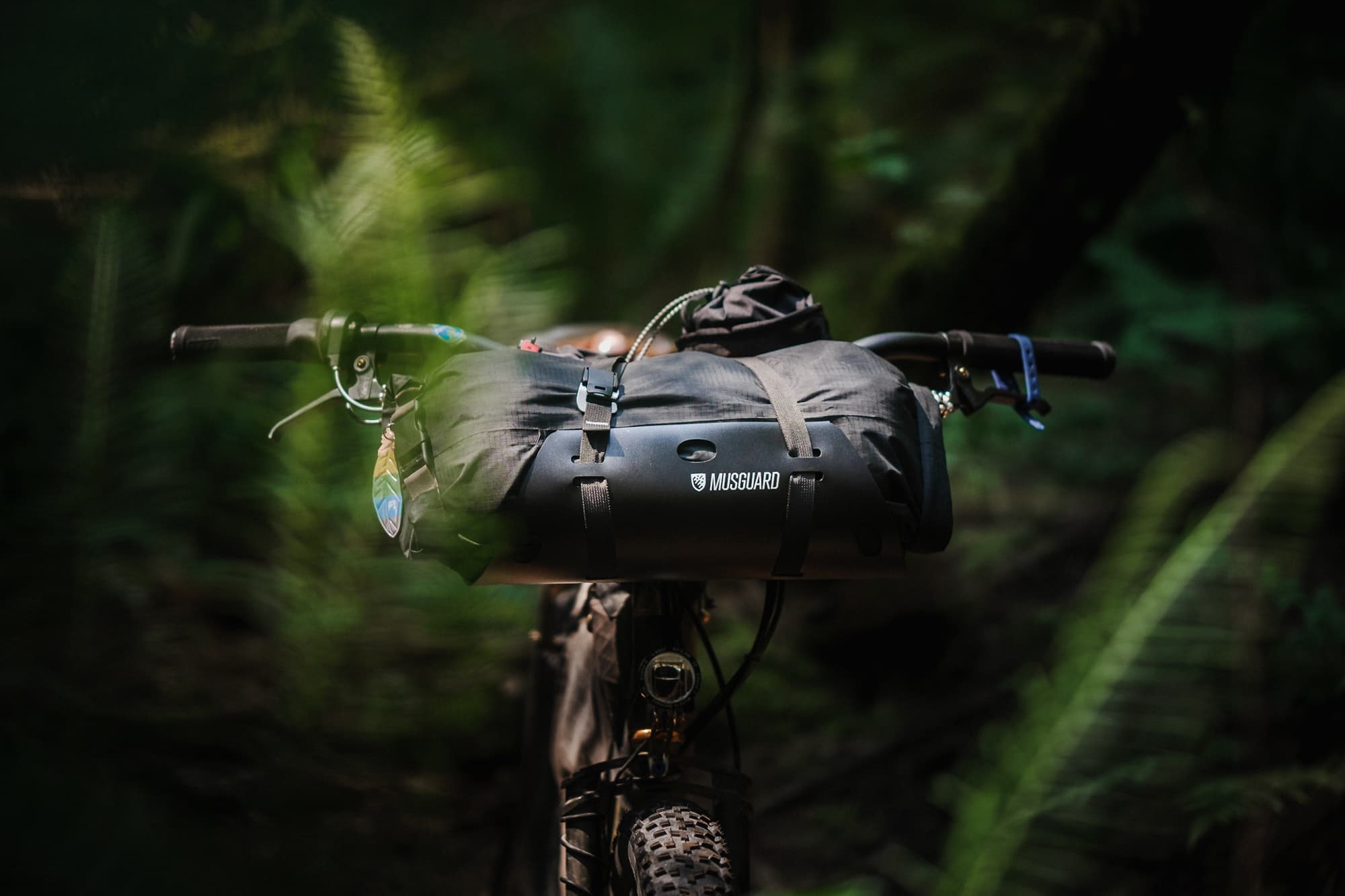 harness ready to roll