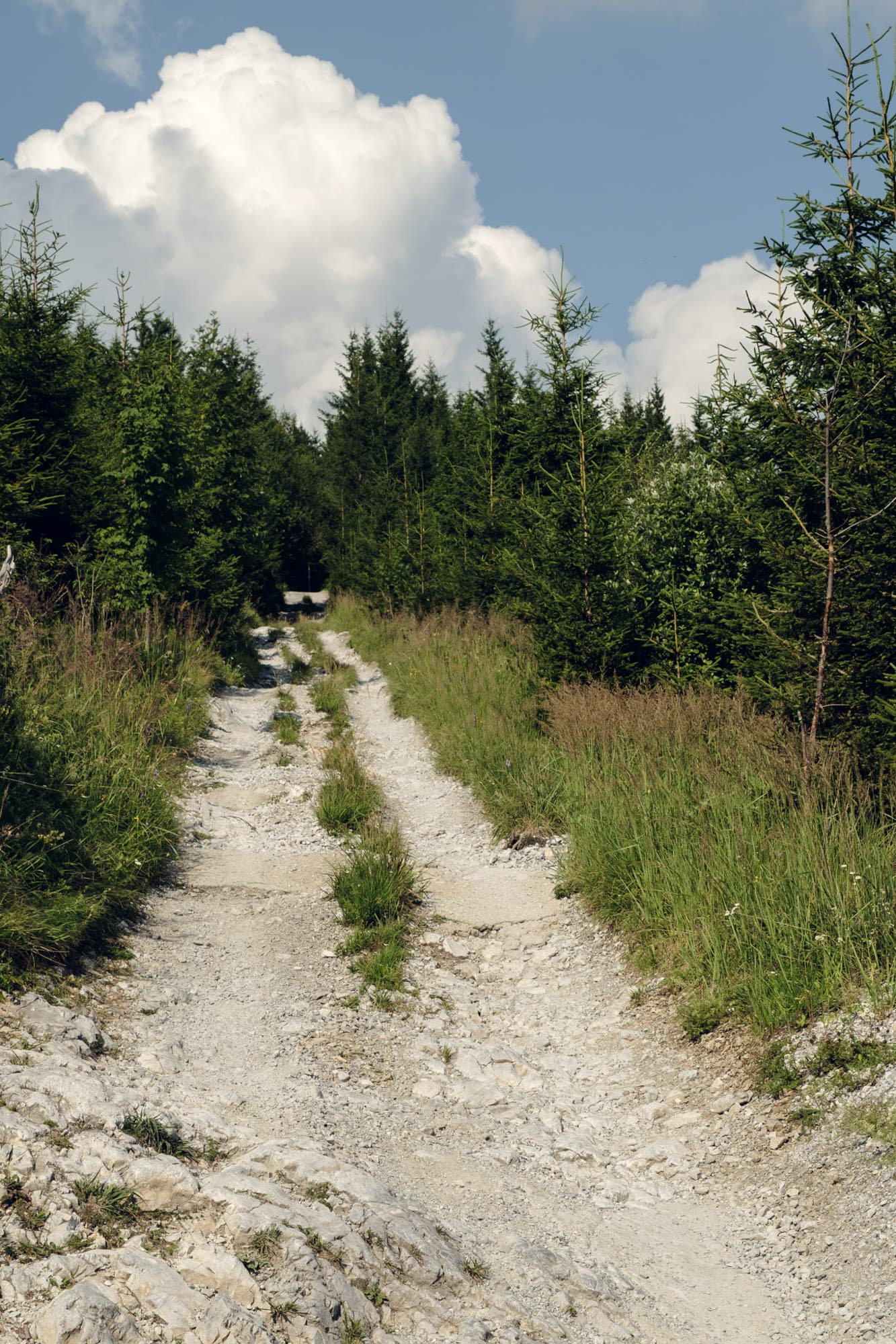 A gravel road in Austria.