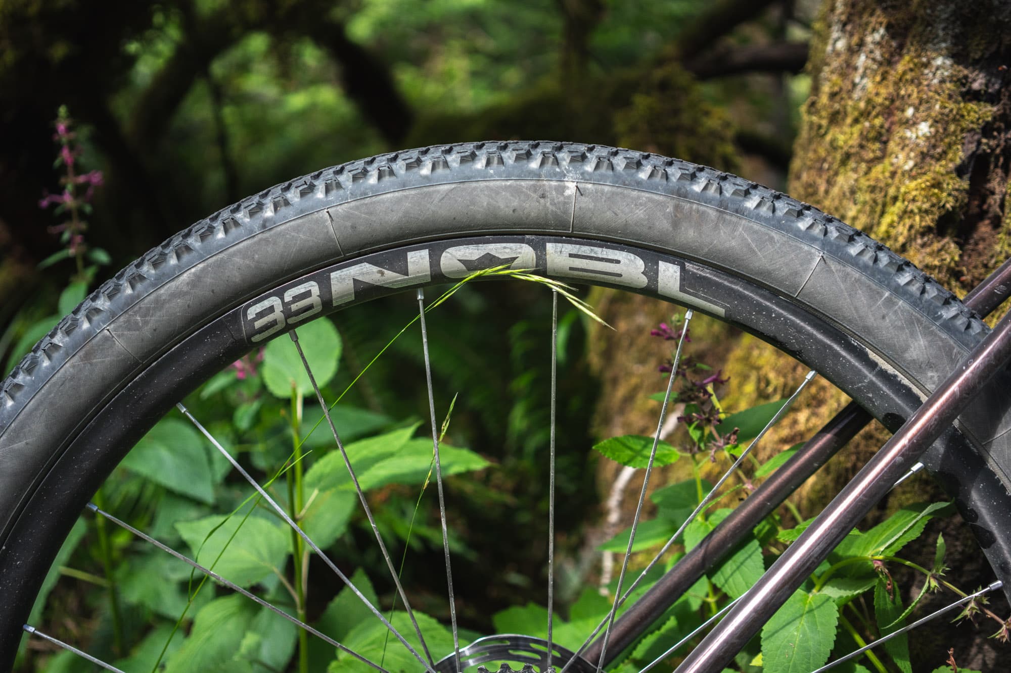 NOBL TR33 in the wild.