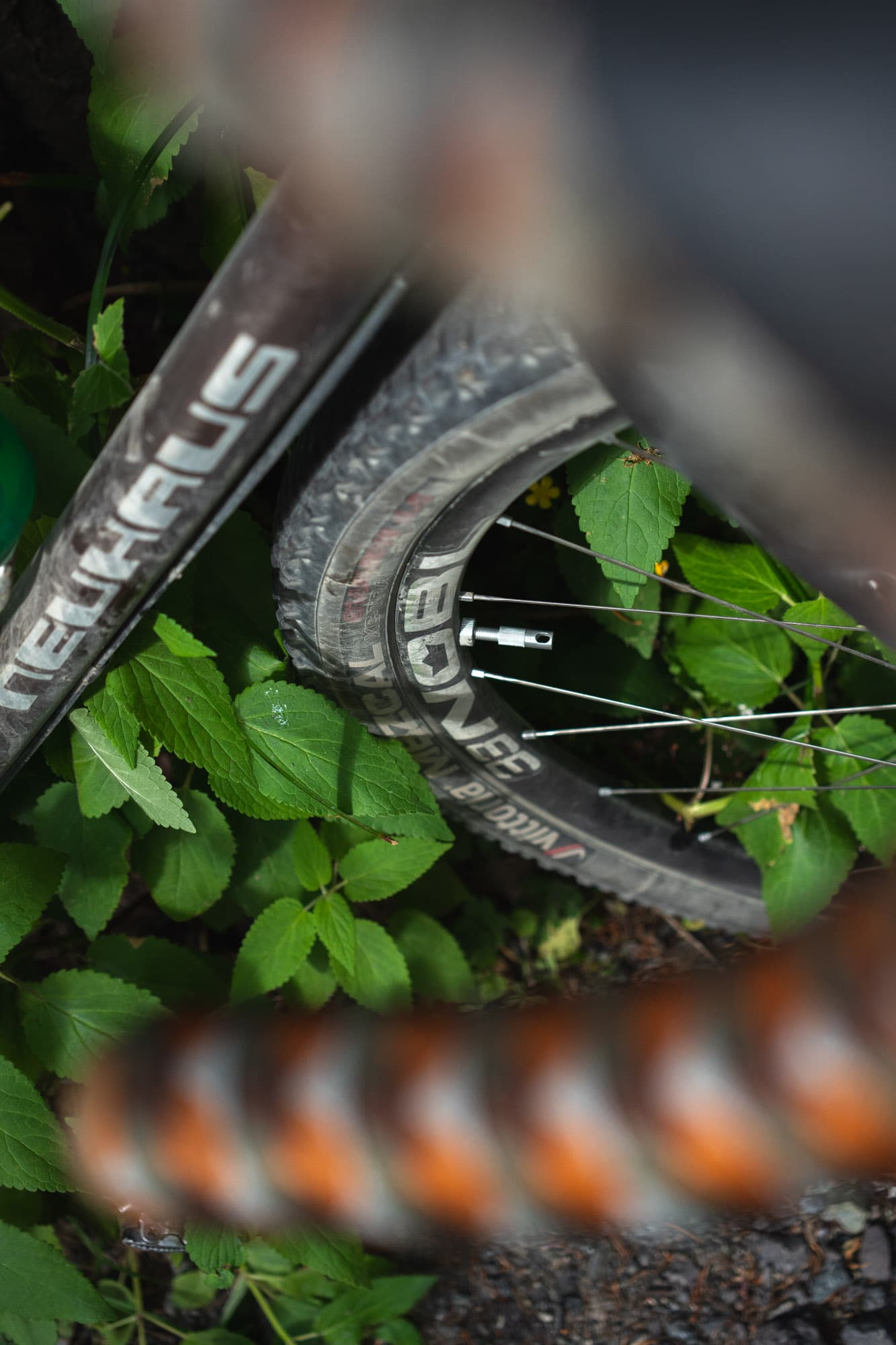 A close up through the bars.
