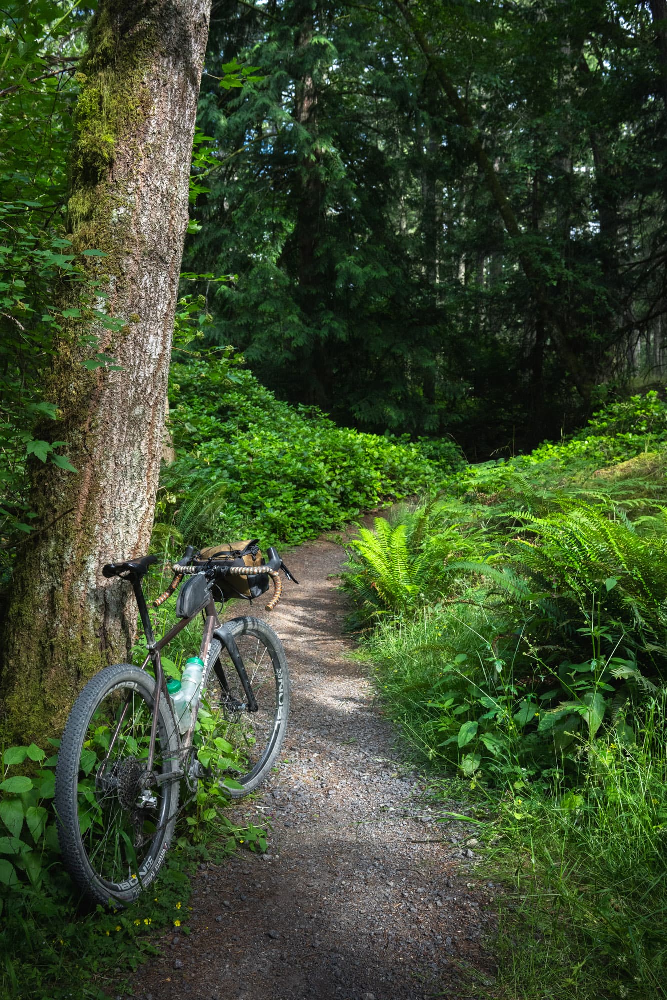Mixed terrain riding with NOBL TR33.