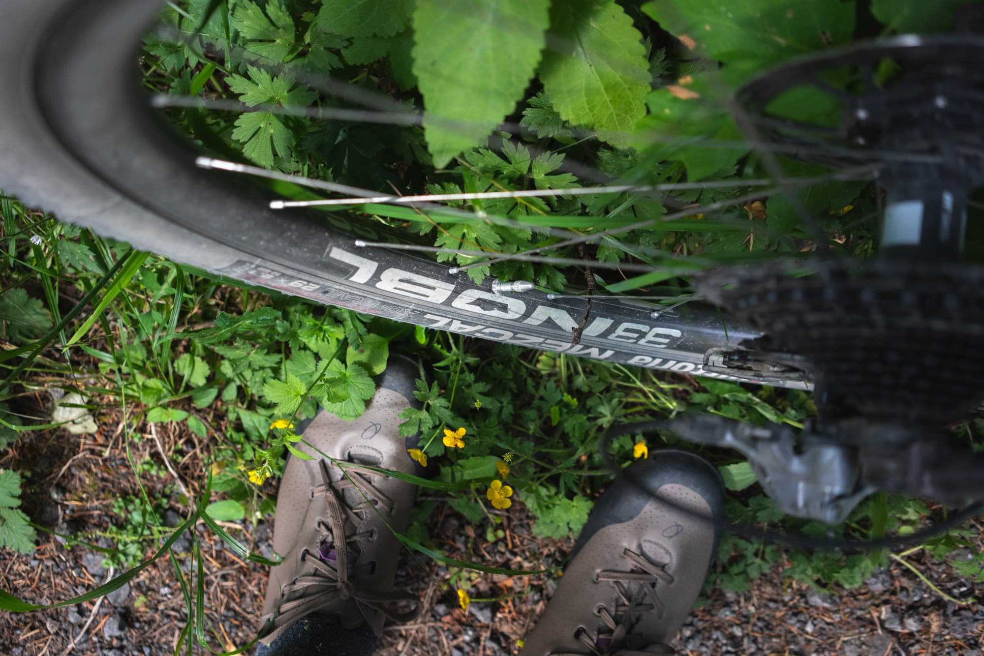 The rear wheel and Barrys shoes.