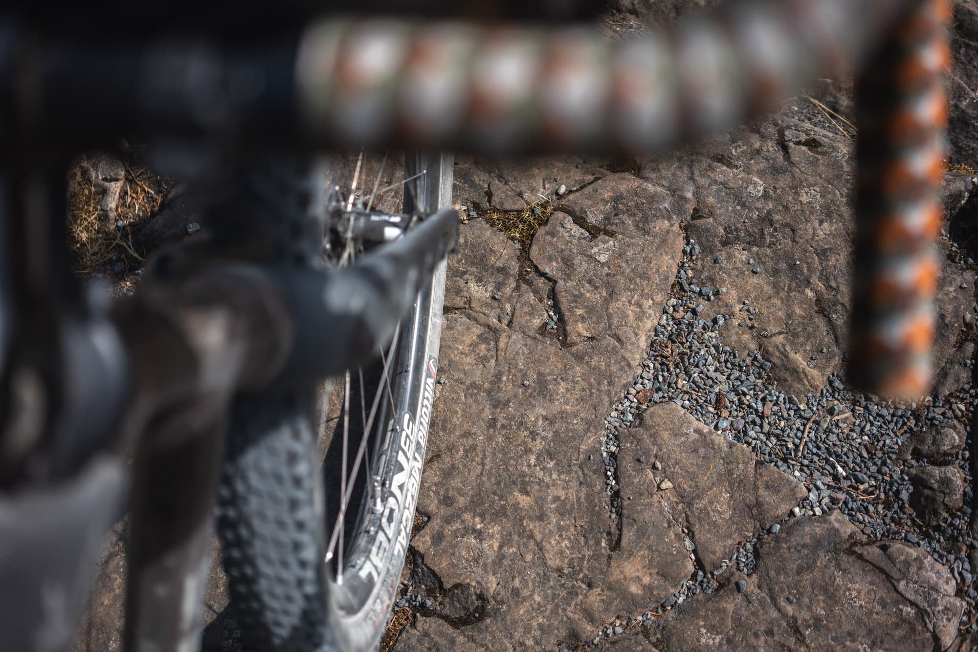 NOBL TR33 on trail.