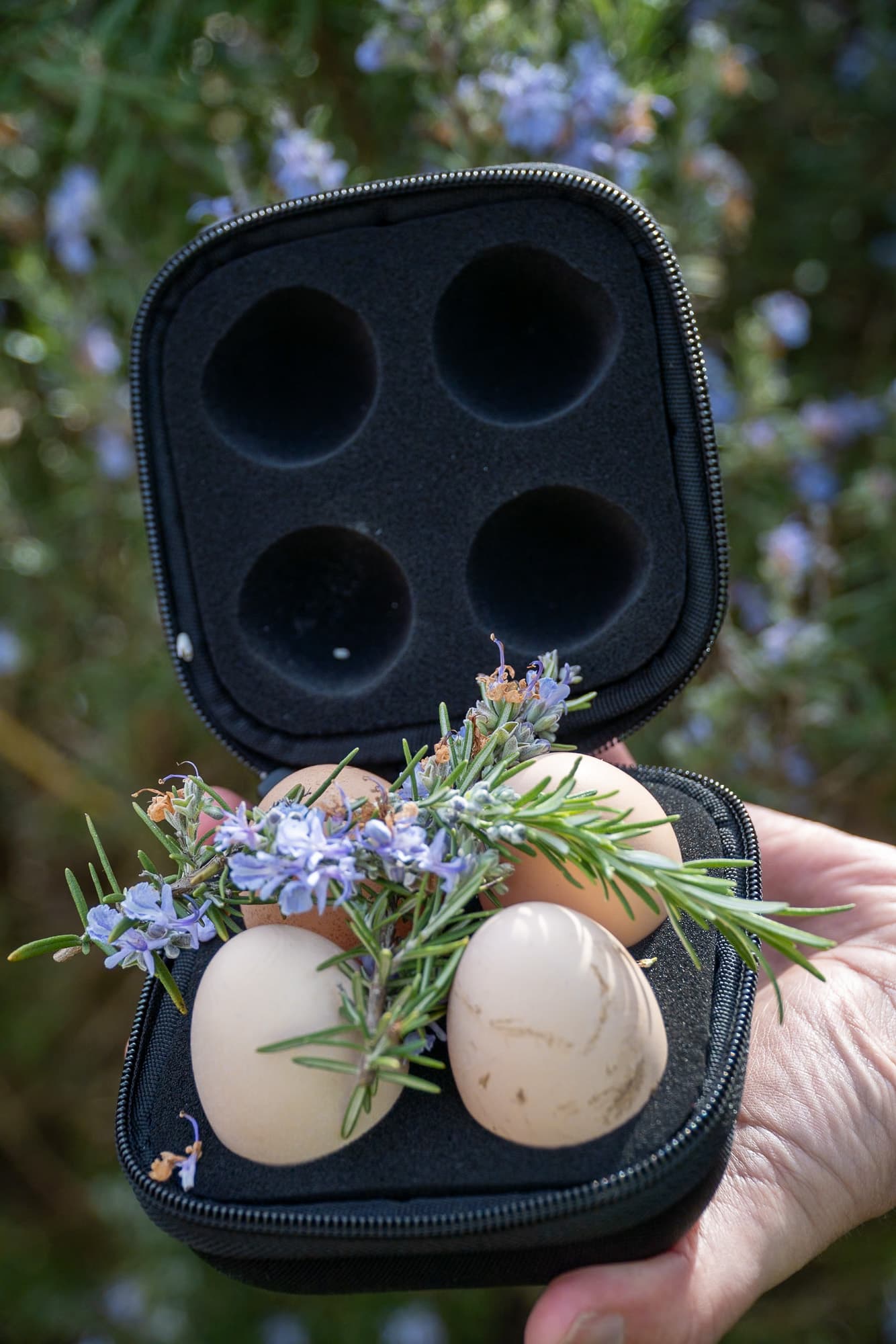 The TamaGo filled with eggs and rosemary.