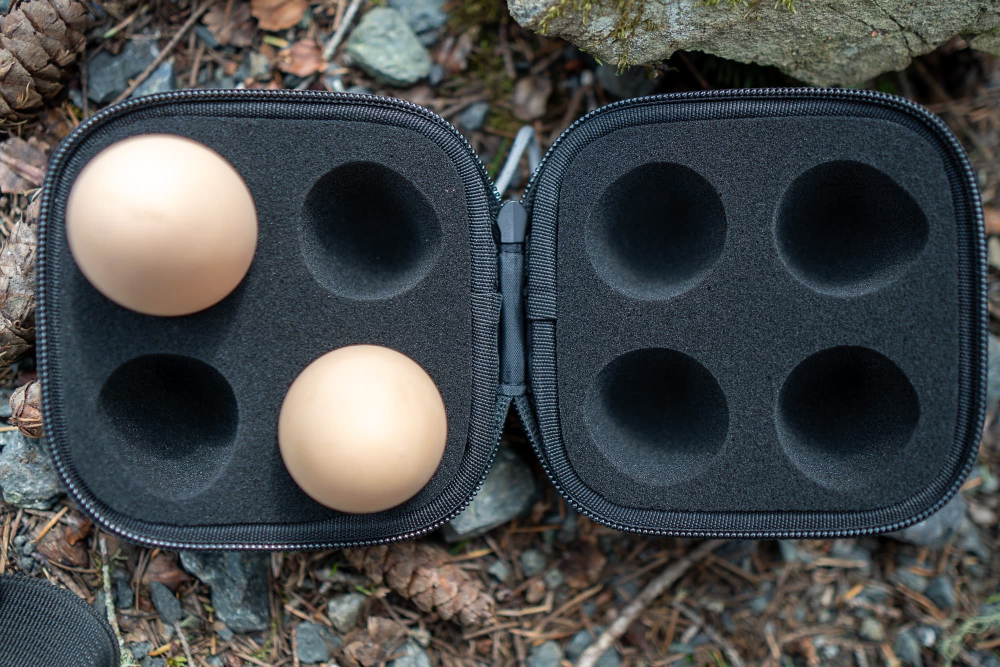 An above view of the TamaGo.