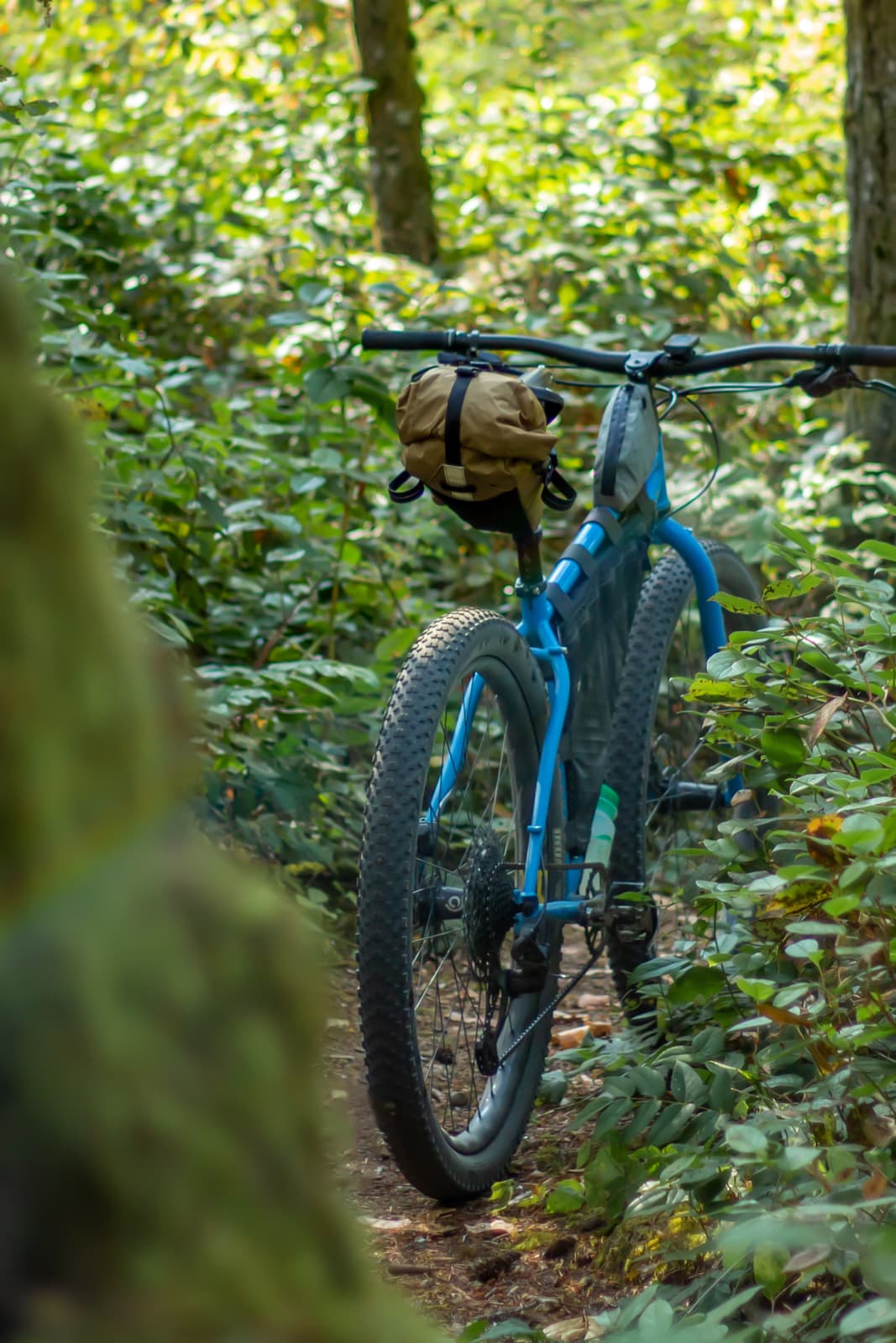 in the singletrack