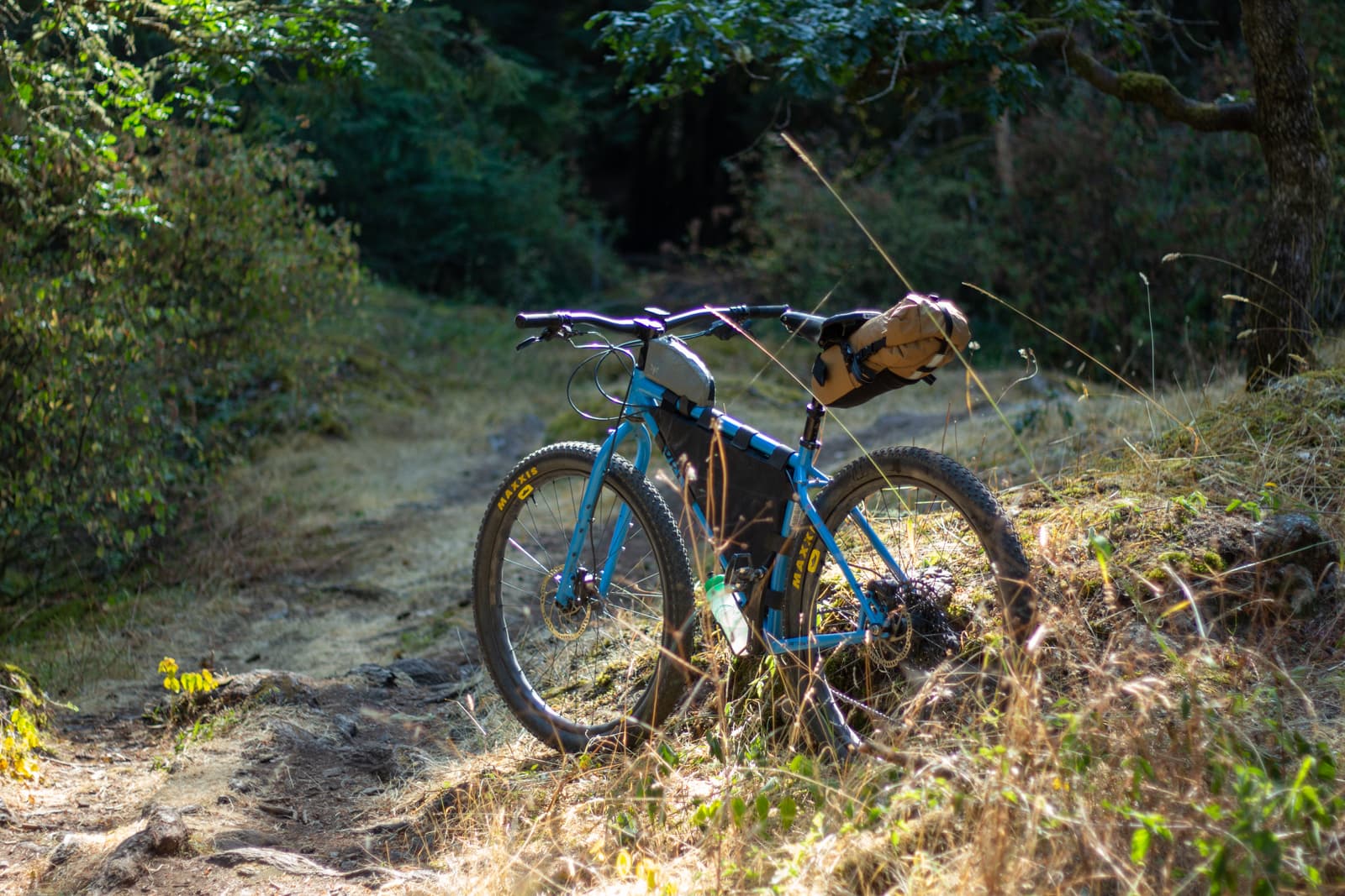 on surly krampus
