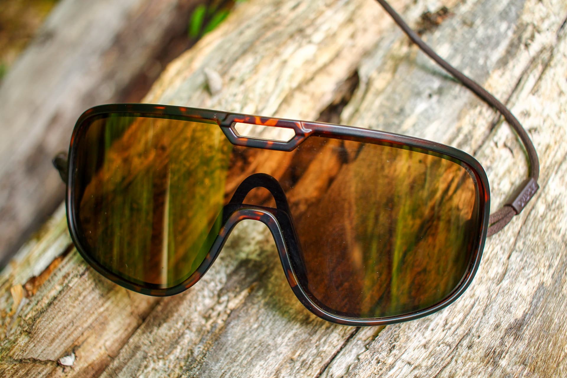 Ombraz Refugio: From Casual to Competitive