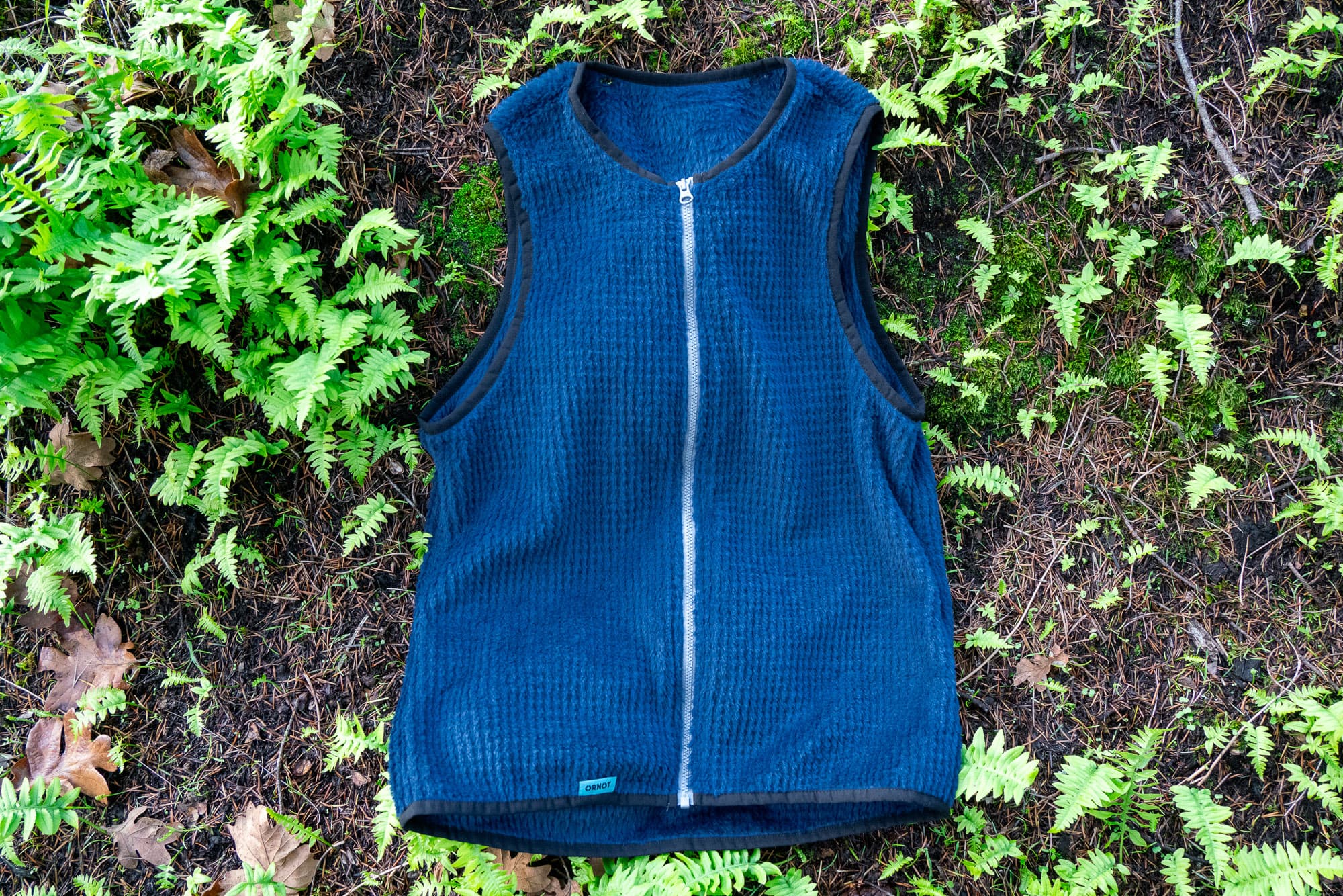 inner vest in ferns