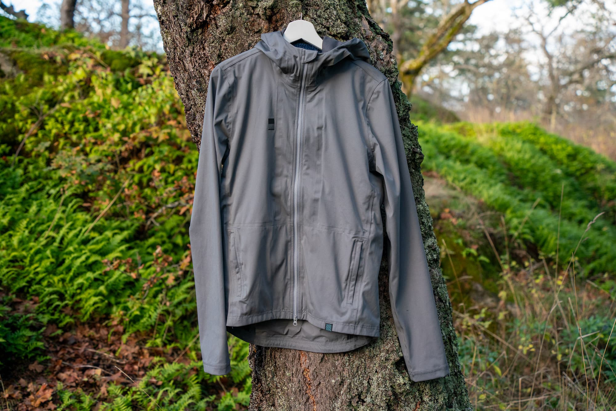 jacket hanging on tree