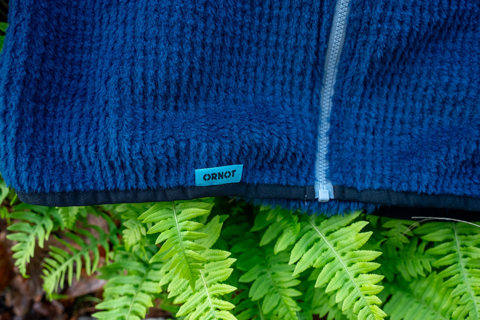 logo in ferns