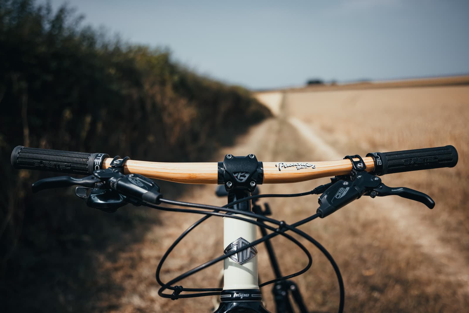 Passchier Astaire Handlebar Review