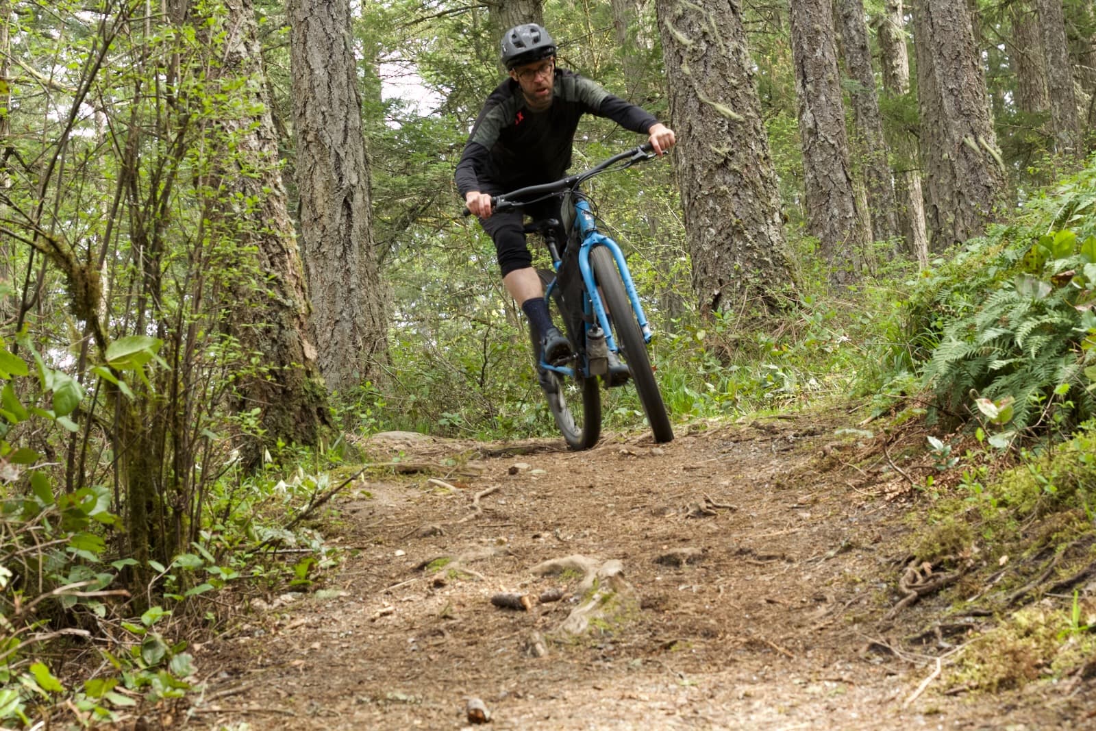 barry on dropper