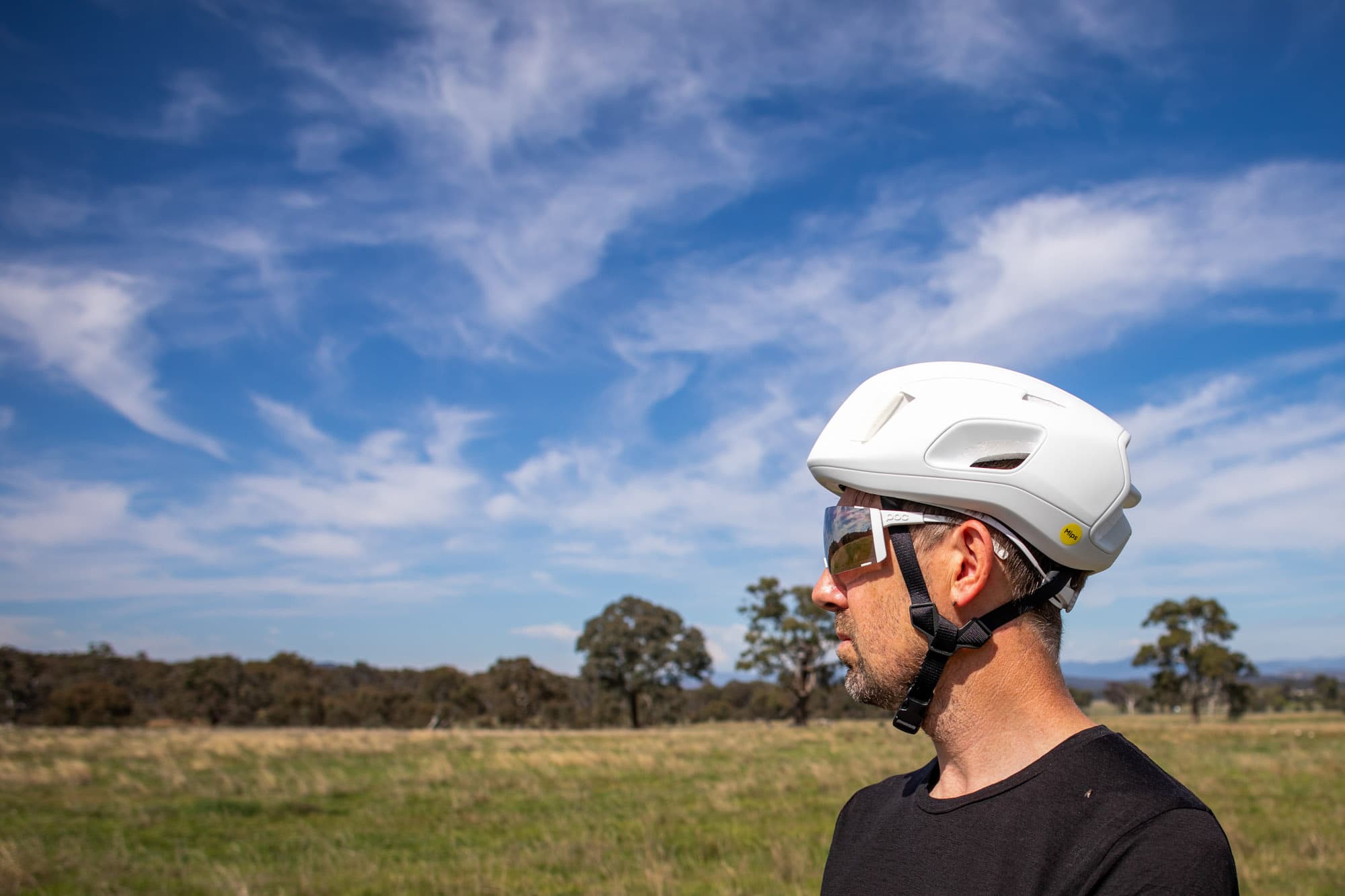 A day out with Mattie.