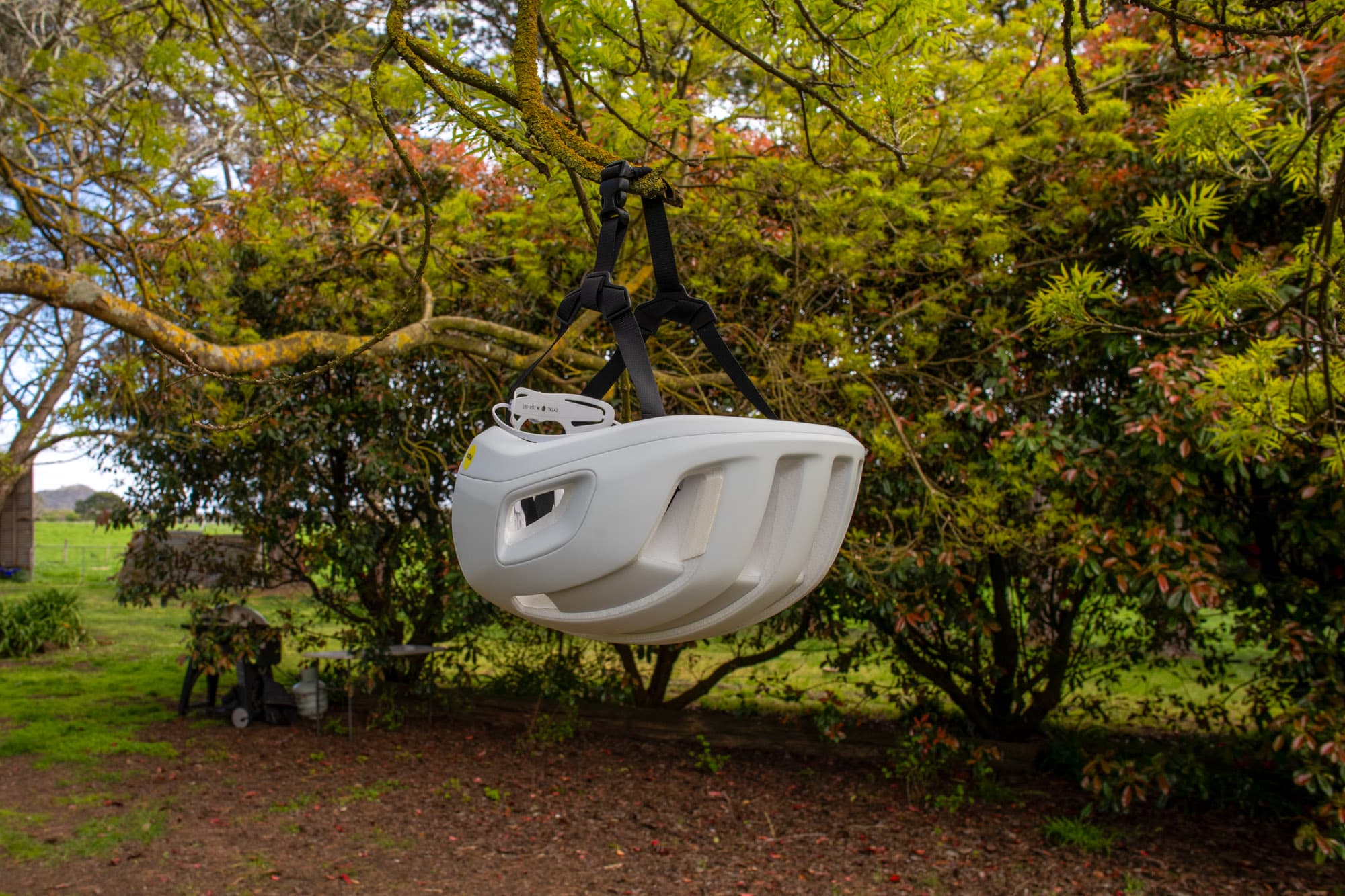 The POC Cytal in a tree.