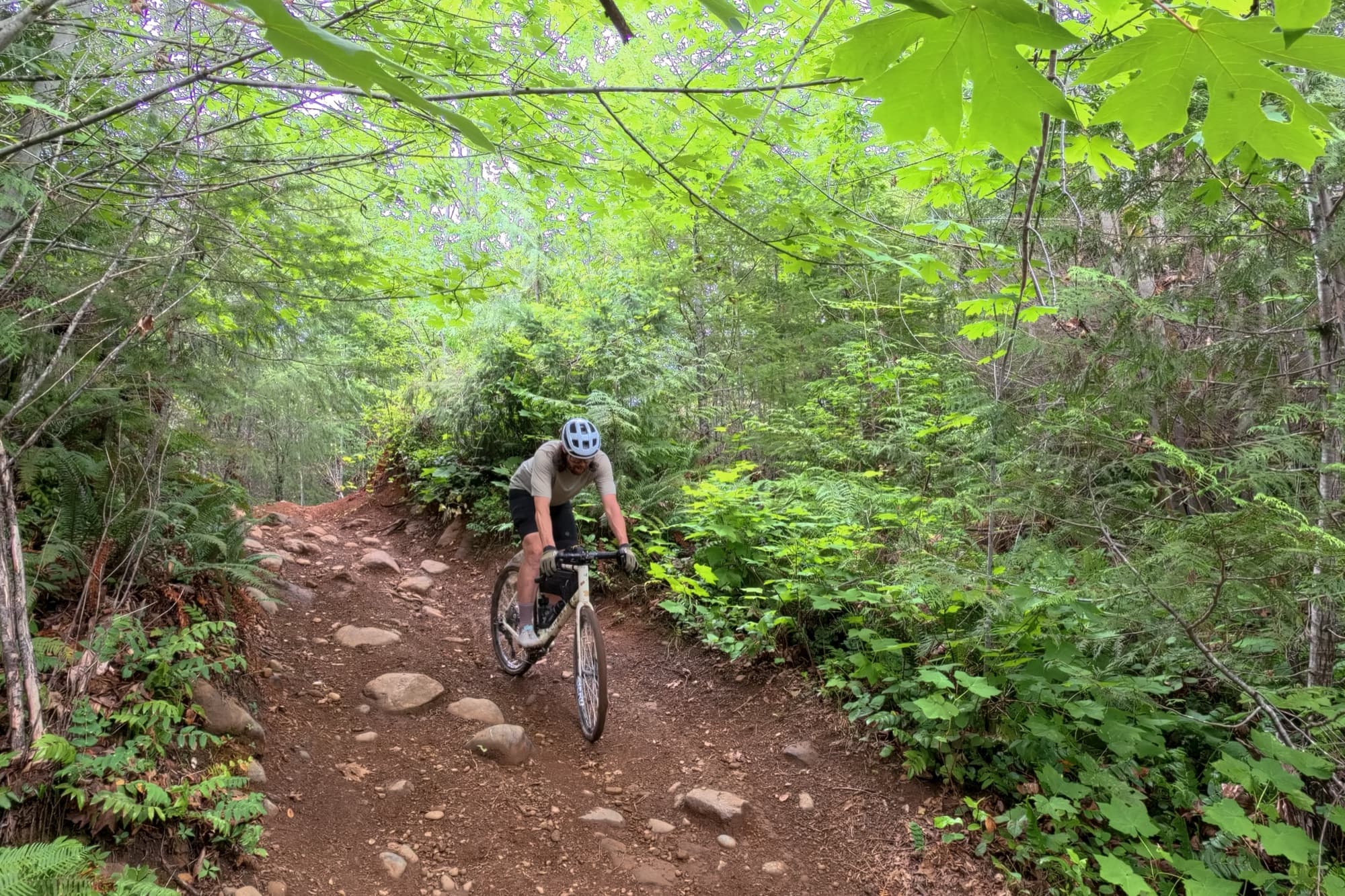 Jeff rides a rocky singletrack trail through lush forest in the Gran Tourer XC Lace.