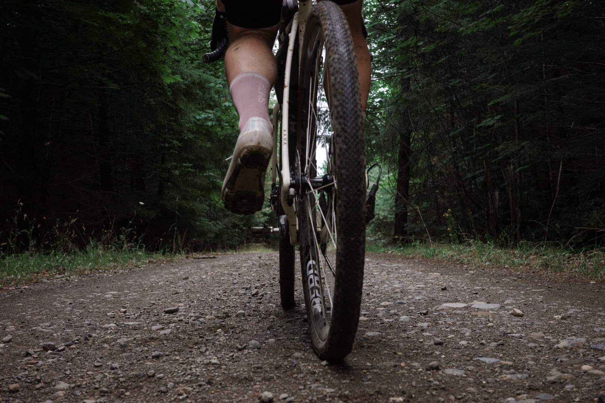 Riding a dark, tree-lined forest road in the Gran Tourer XC Lace.