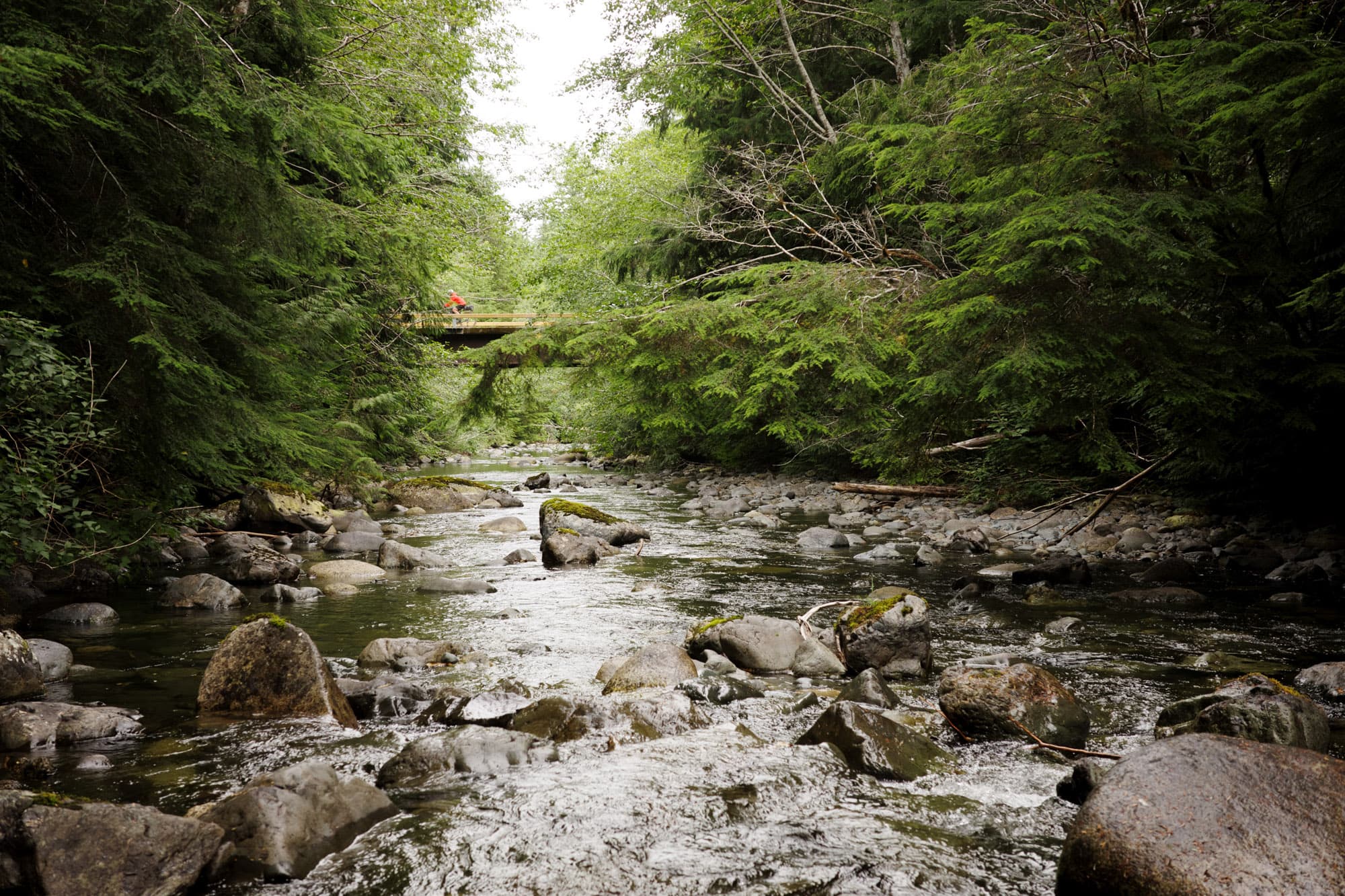 A bridge on the Cowichan Valley 8.