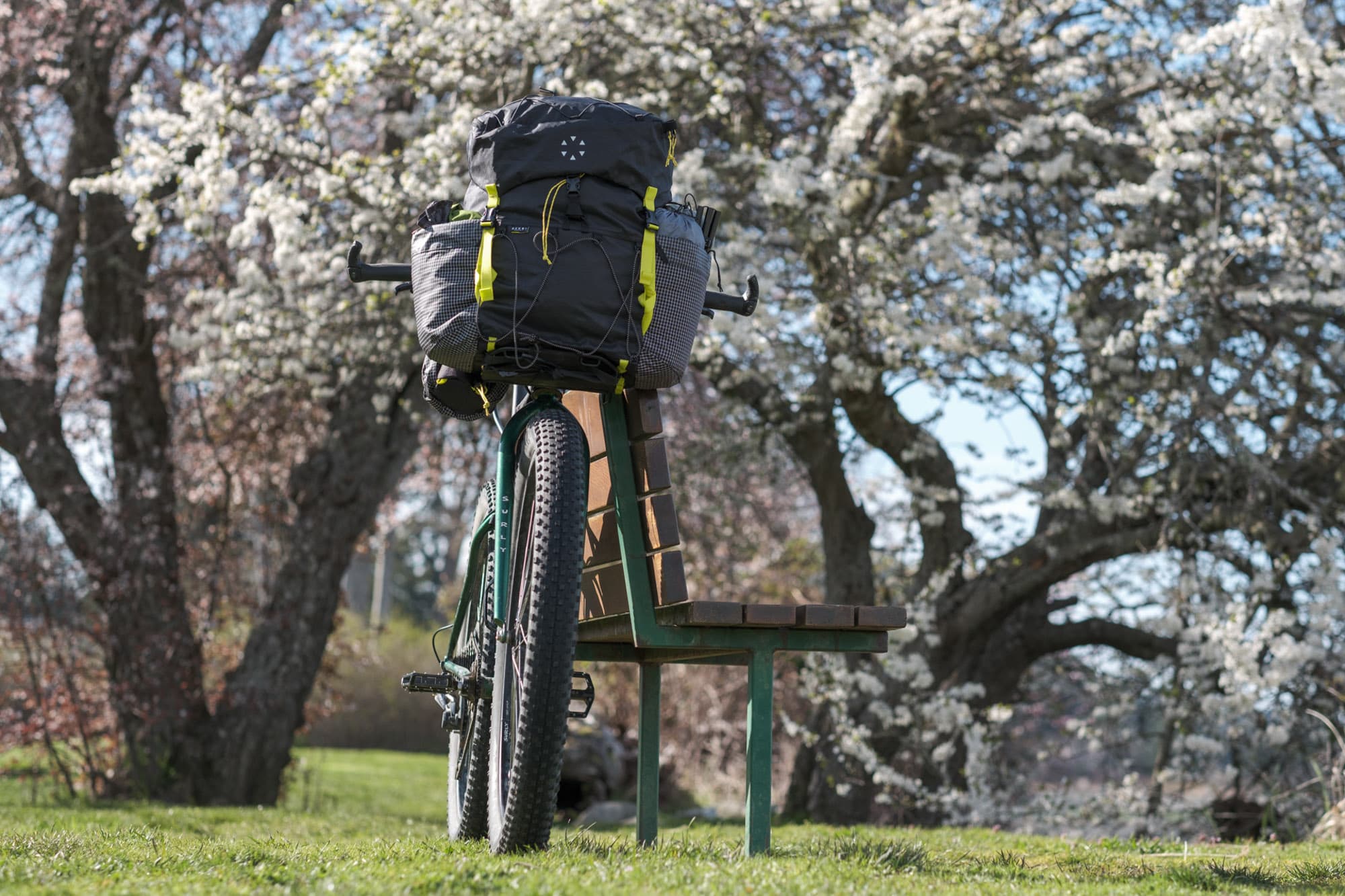 A Surly Krampus near the Sakura trees.