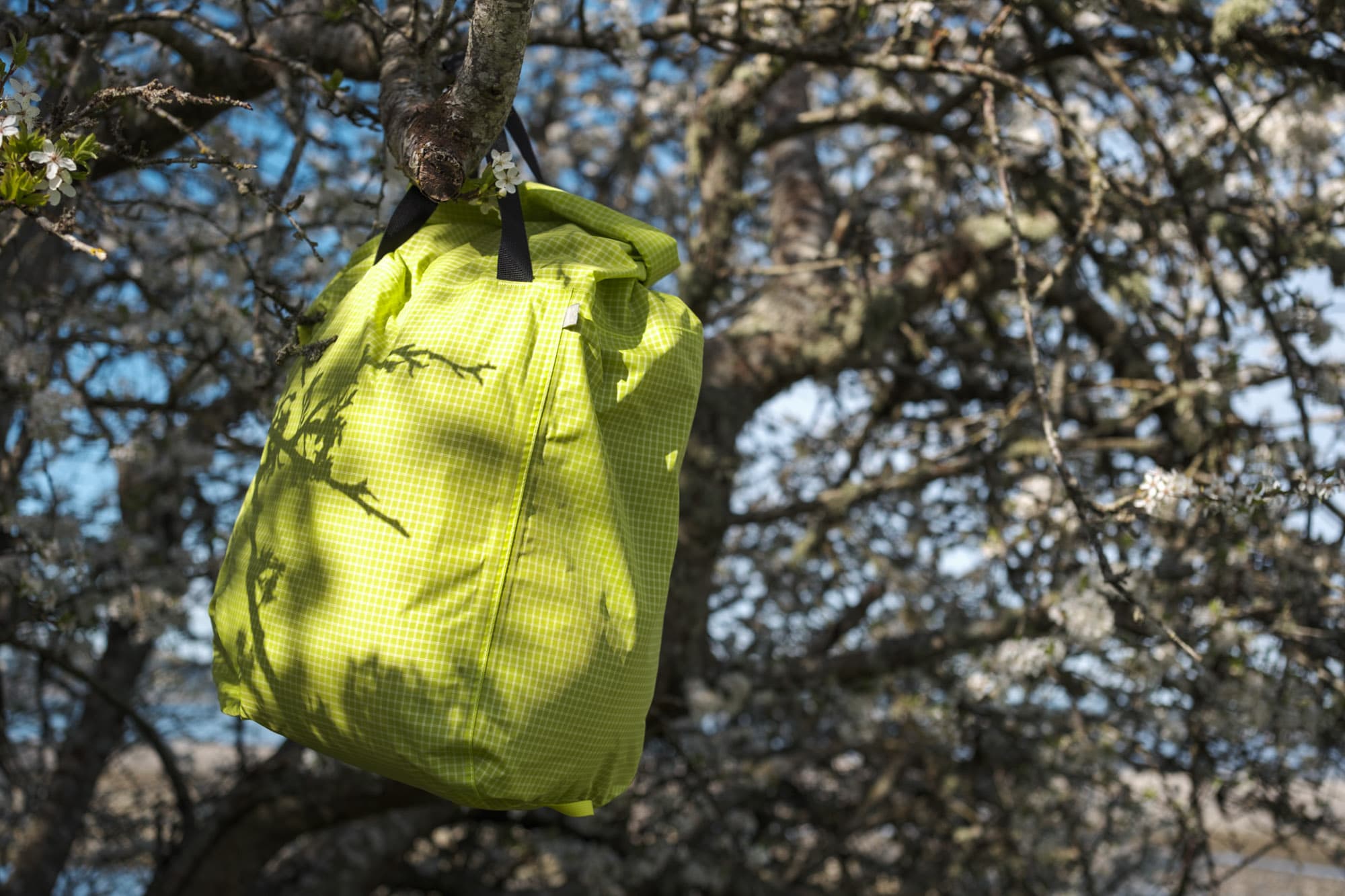 A stuff sack hanging in e a tree.